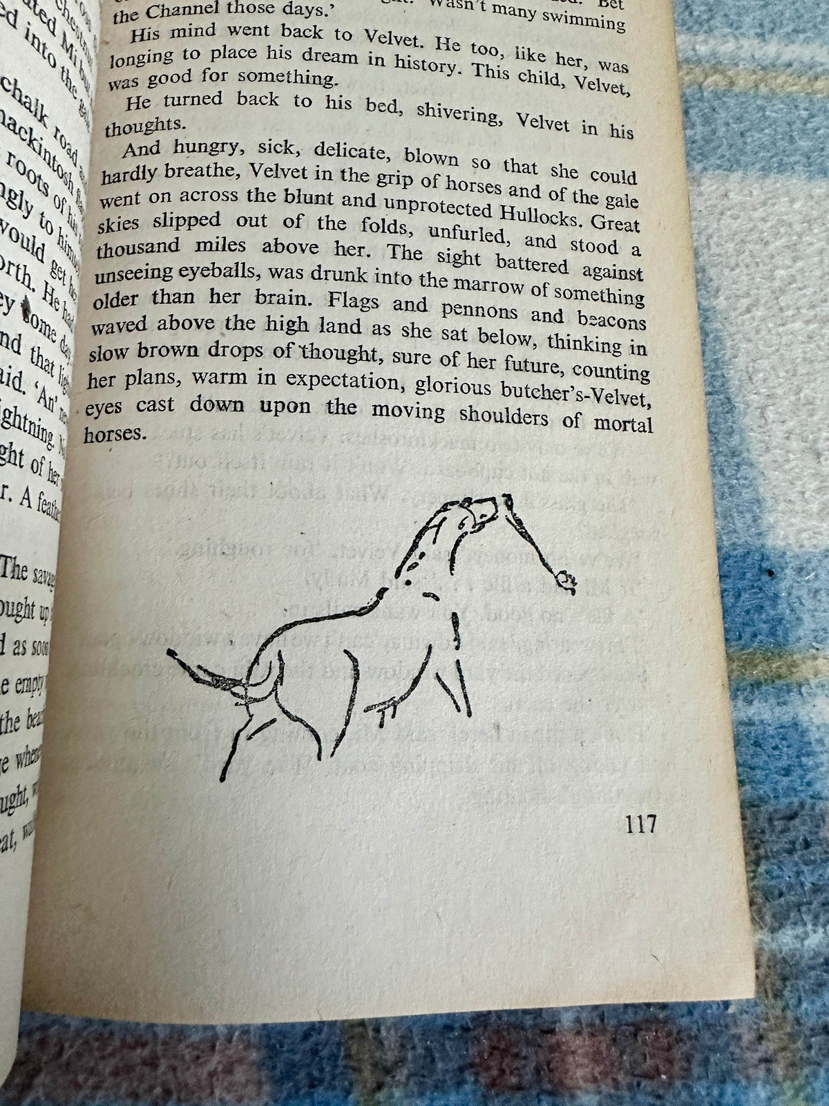 1947 National Velvet - Enid Bagnold(Illust Laurian Jones)Penguin Books - Honeyburn Books (UK)