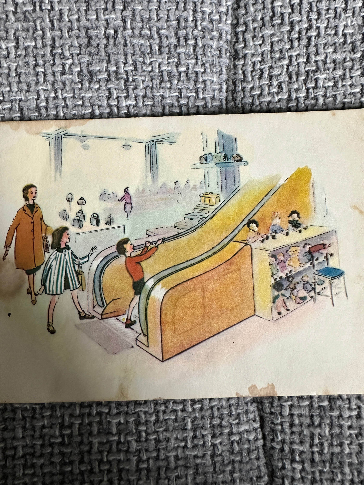 1960’s Ready To Read: Where Is Timothy? - Dora Ridall (Dept of Education New Zealand - Honeyburn Books (UK)