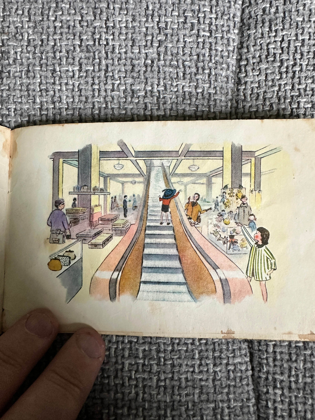 1960’s Ready To Read: Where Is Timothy? - Dora Ridall (Dept of Education New Zealand - Honeyburn Books (UK)