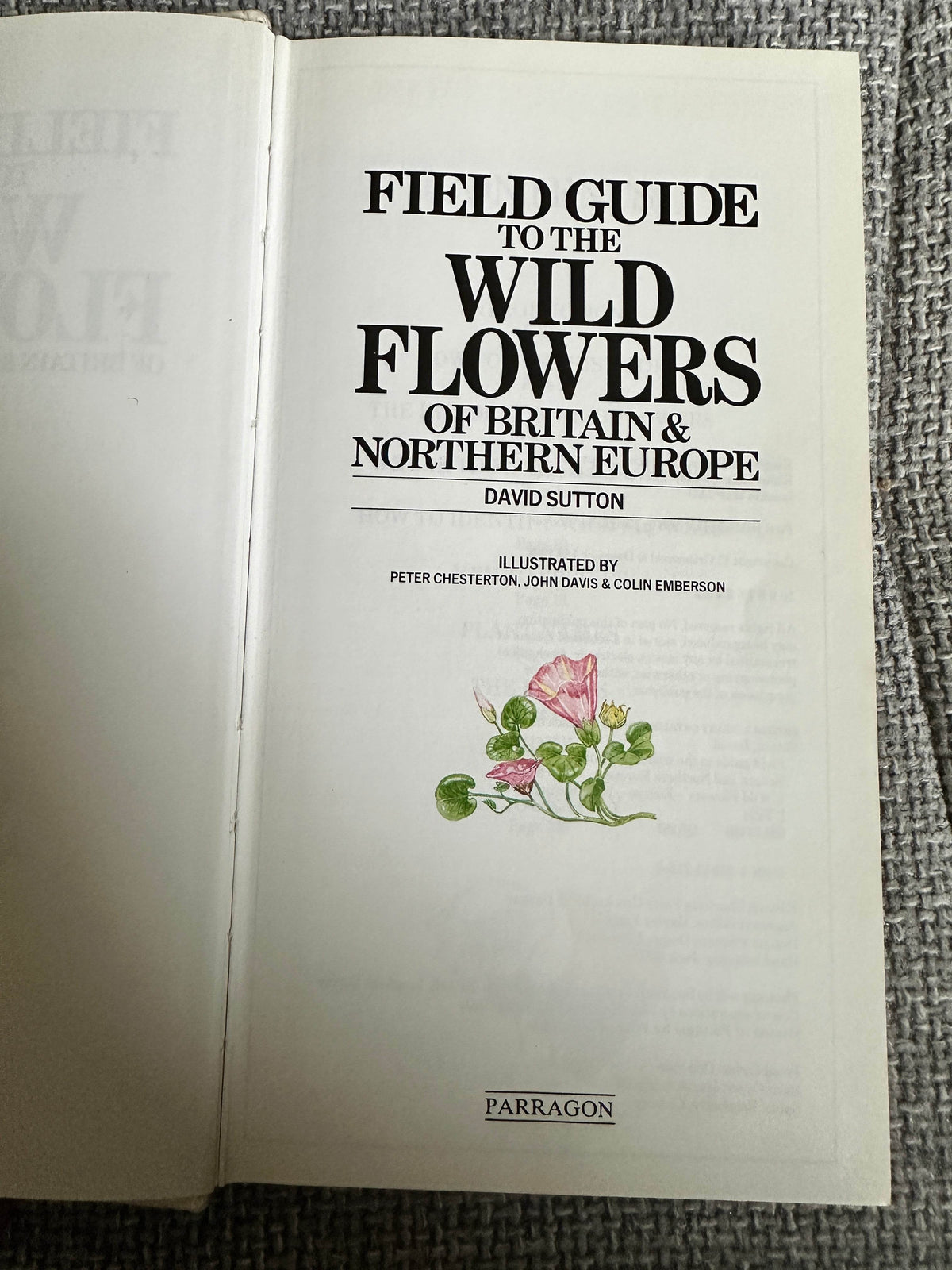 1988 Field Guide To The Wild Flowers Of Britain & Northern Europe - David Sutton(Illust Peter Chesterton, John Davis & Colin Emberson) Parragon - Honeyburn Books (UK)