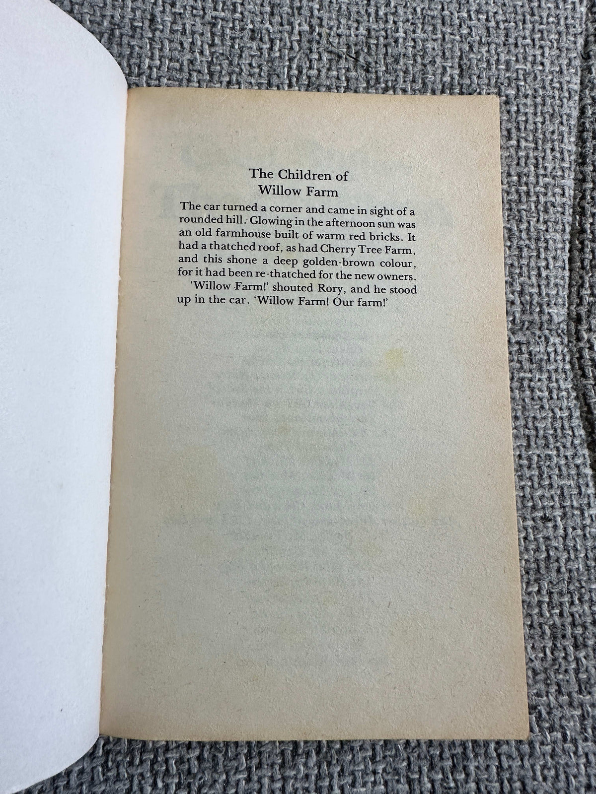 1988 The Children Of Willow Farm - Enid Blyton (David Bowyer Illust) Beaver Books - Honeyburn Books (UK)