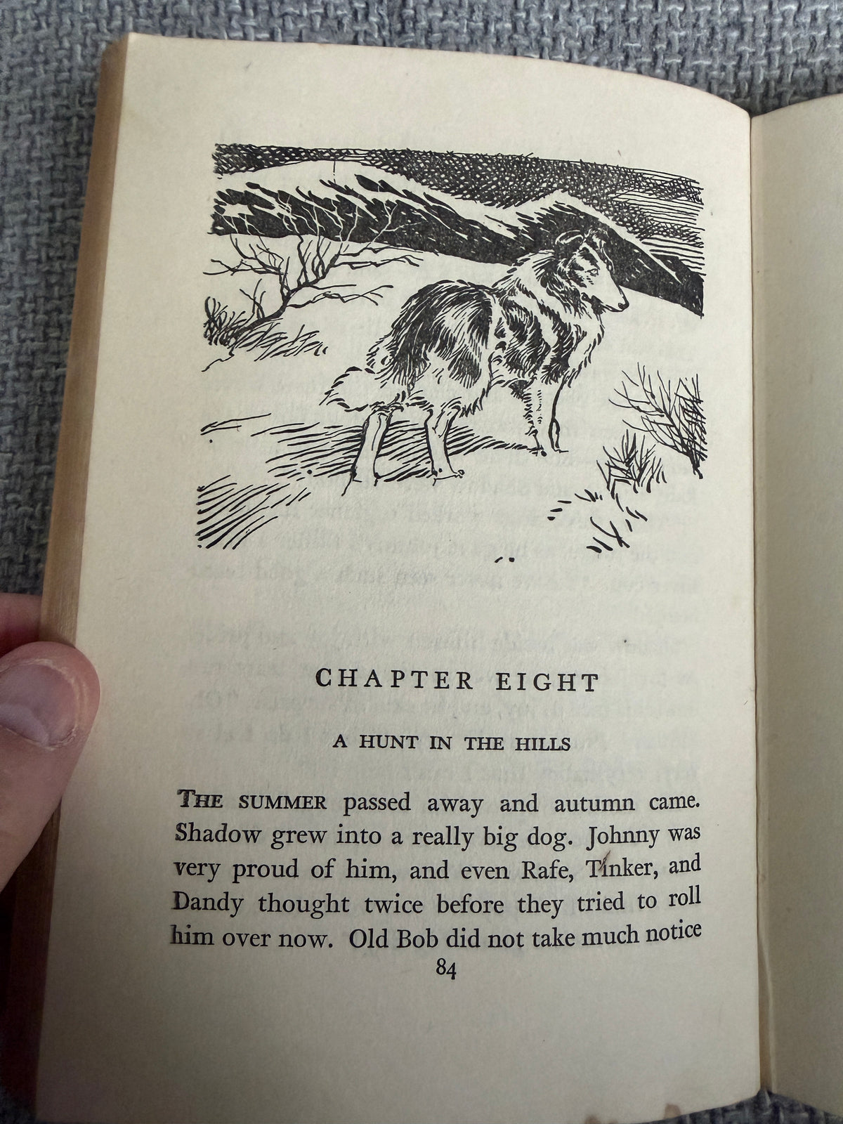 1955 Shadow The Sheep Dog - Enid Blyton (G. W. Backhouse illust) Collins Seagull Library