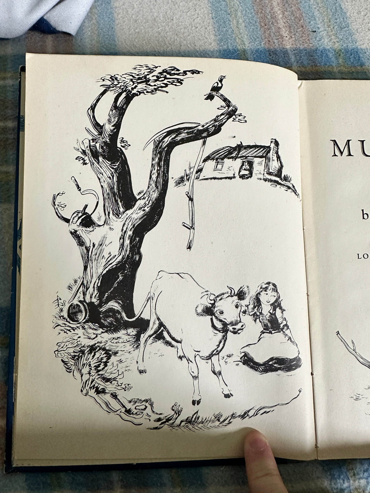 1948*1st* The Mullingar Heifer - Mary Walsh(Illust Henry C. Pitz) Frederick Müller Ltd - Honeyburn Books (UK)
