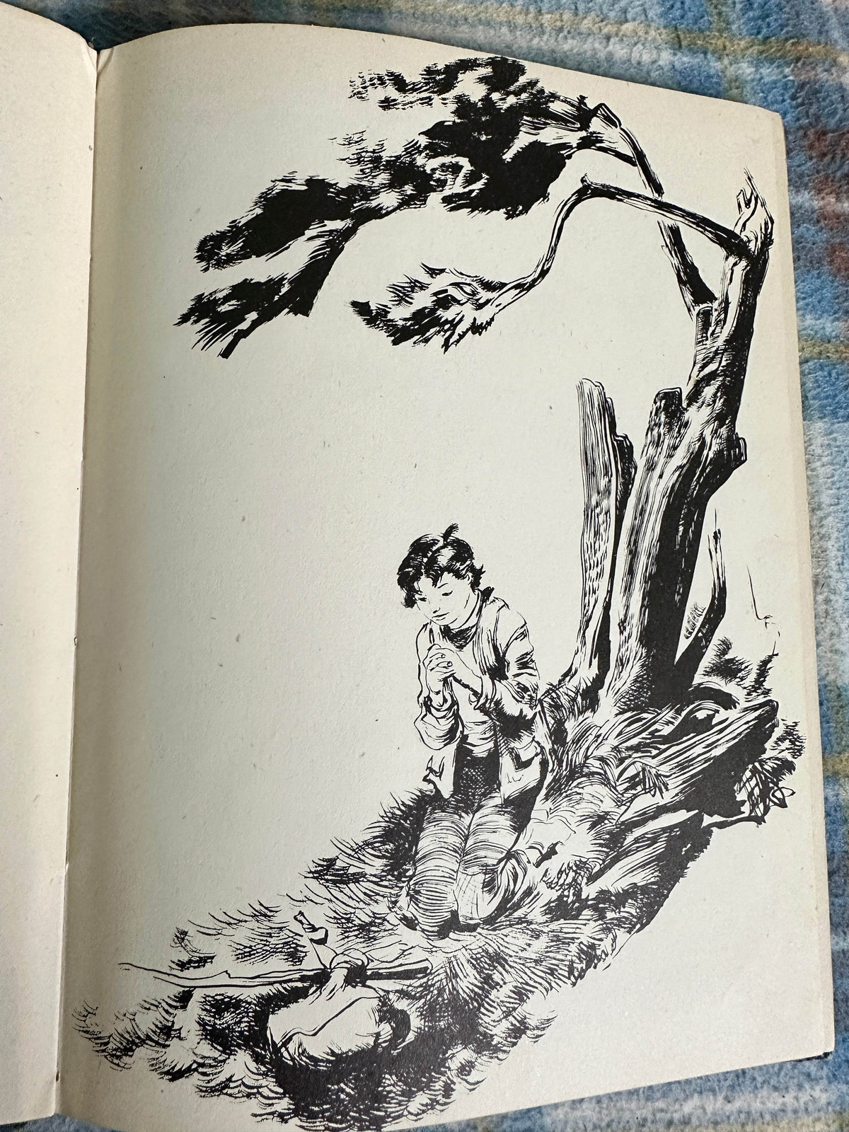 1948*1st* The Mullingar Heifer - Mary Walsh(Illust Henry C. Pitz) Frederick Müller Ltd - Honeyburn Books (UK)