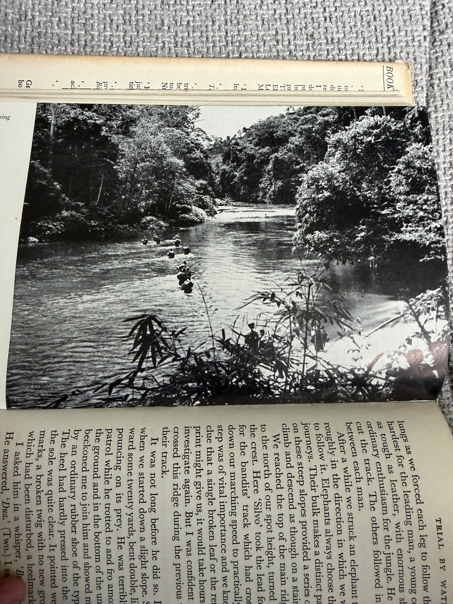 1953 Jungle Green - Arthur Campbell (George Allen & Unwin)