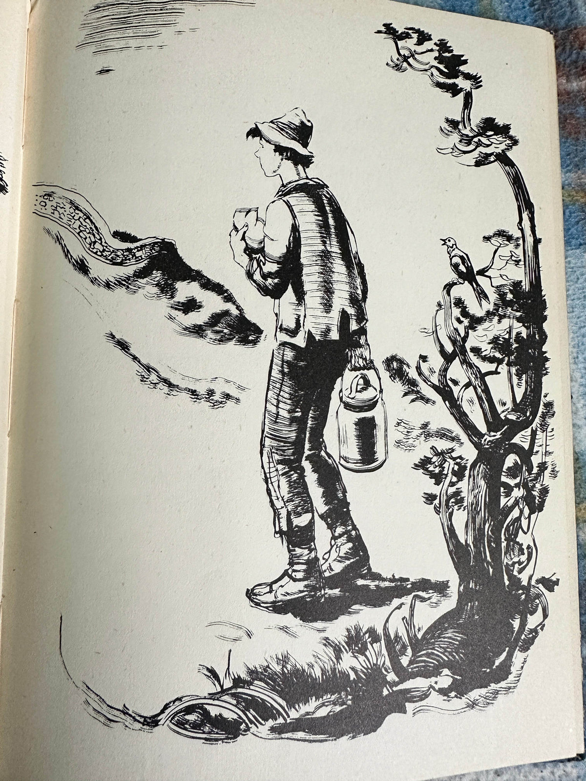 1948*1st* The Mullingar Heifer - Mary Walsh(Illust Henry C. Pitz) Frederick Müller Ltd - Honeyburn Books (UK)