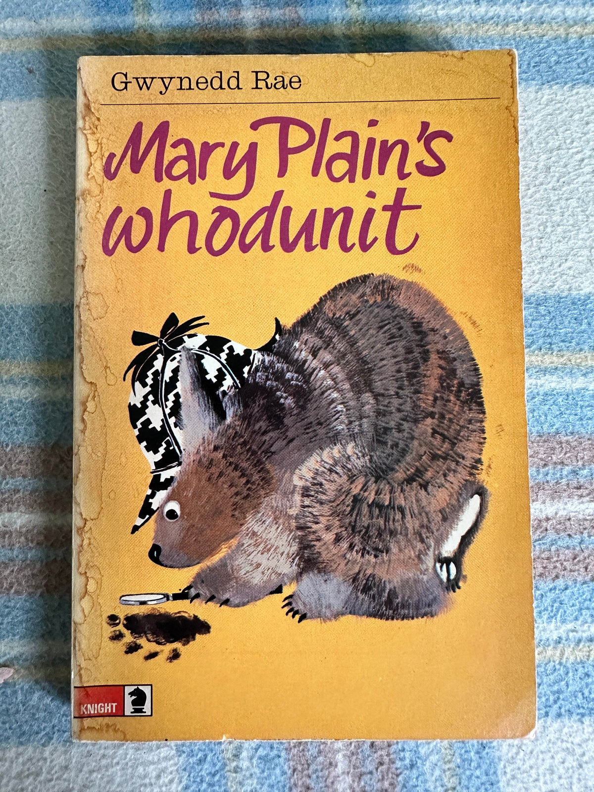 1973*1st* Mary Plain’s Whodunit? - Gwynedd Rae(Janina Ede illustration)Knight Books - Honeyburn Books (UK)