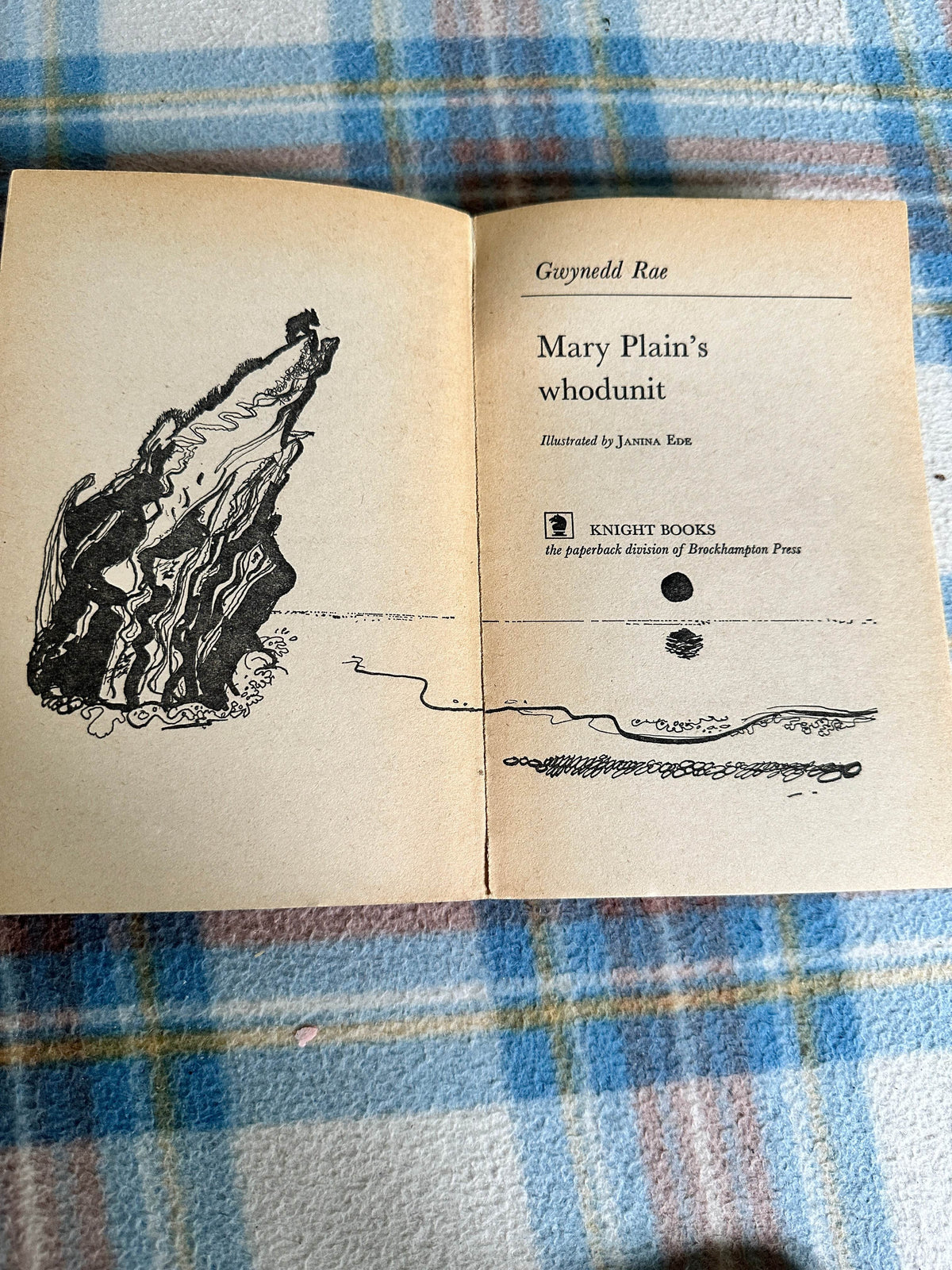 1973*1st* Mary Plain’s Whodunit? - Gwynedd Rae(Janina Ede illustration)Knight Books - Honeyburn Books (UK)