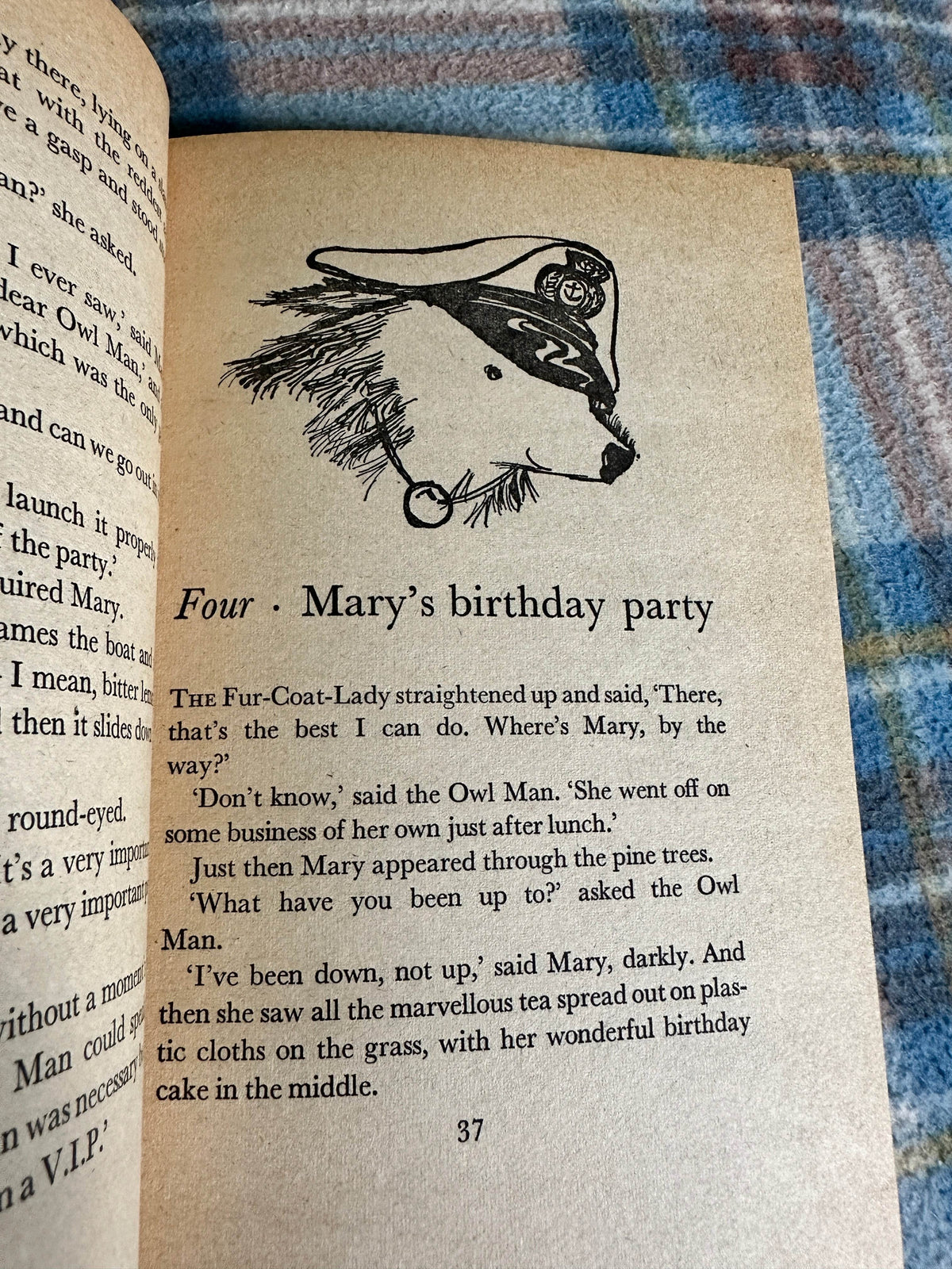1973*1st* Mary Plain’s Whodunit? - Gwynedd Rae(Janina Ede illustration)Knight Books - Honeyburn Books (UK)