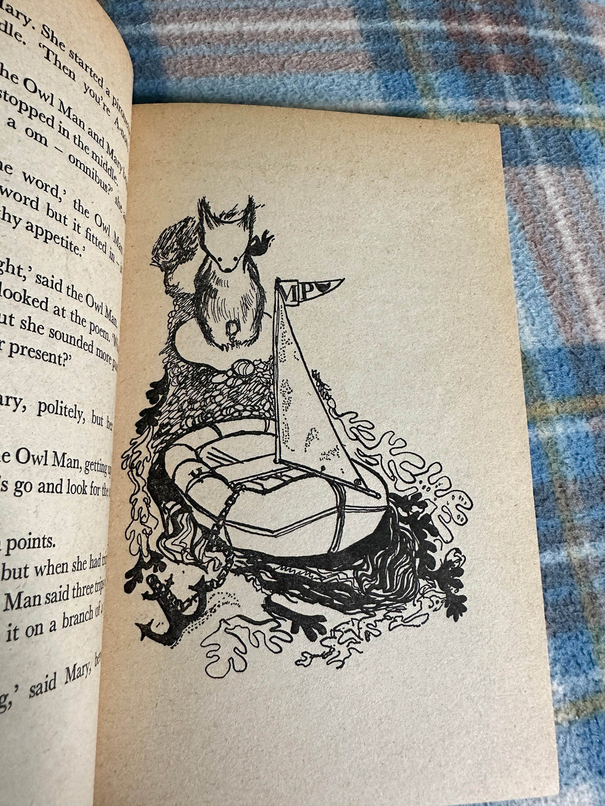 1973*1st* Mary Plain’s Whodunit? - Gwynedd Rae(Janina Ede illustration)Knight Books - Honeyburn Books (UK)