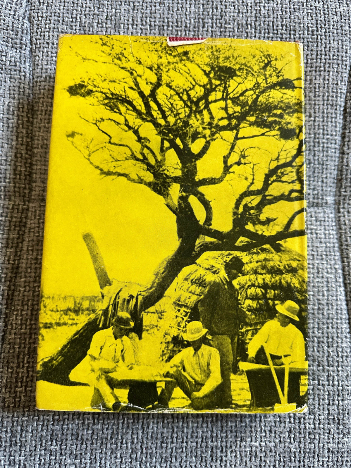 1967*1st* Gold Paved The Way - A. P. Cartwright(MacMillan) - Honeyburn Books (UK)