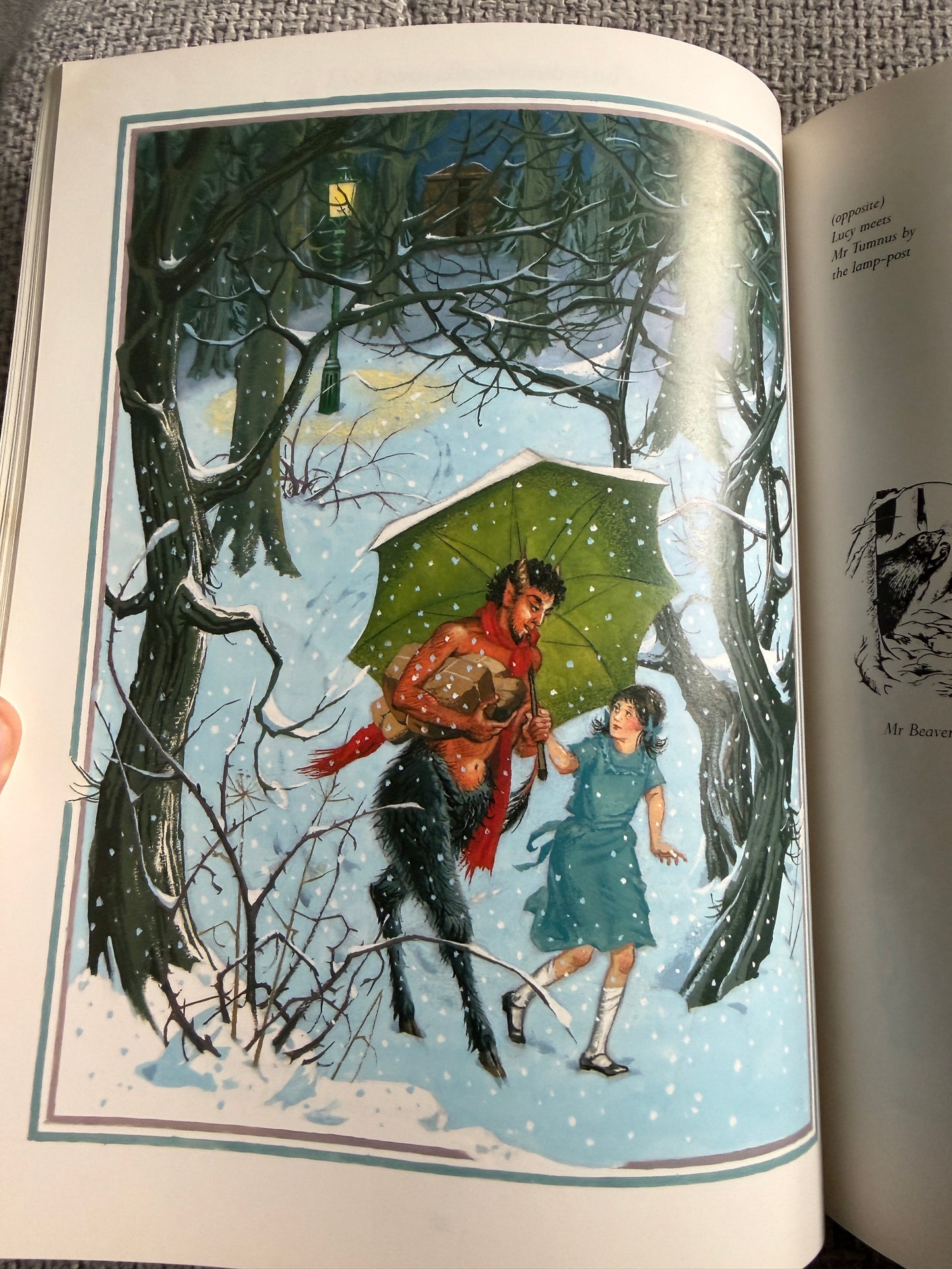 1989 The Land Of Narnia - Brian Sibley (Pauline Baynes Illustrations) Picture Lions