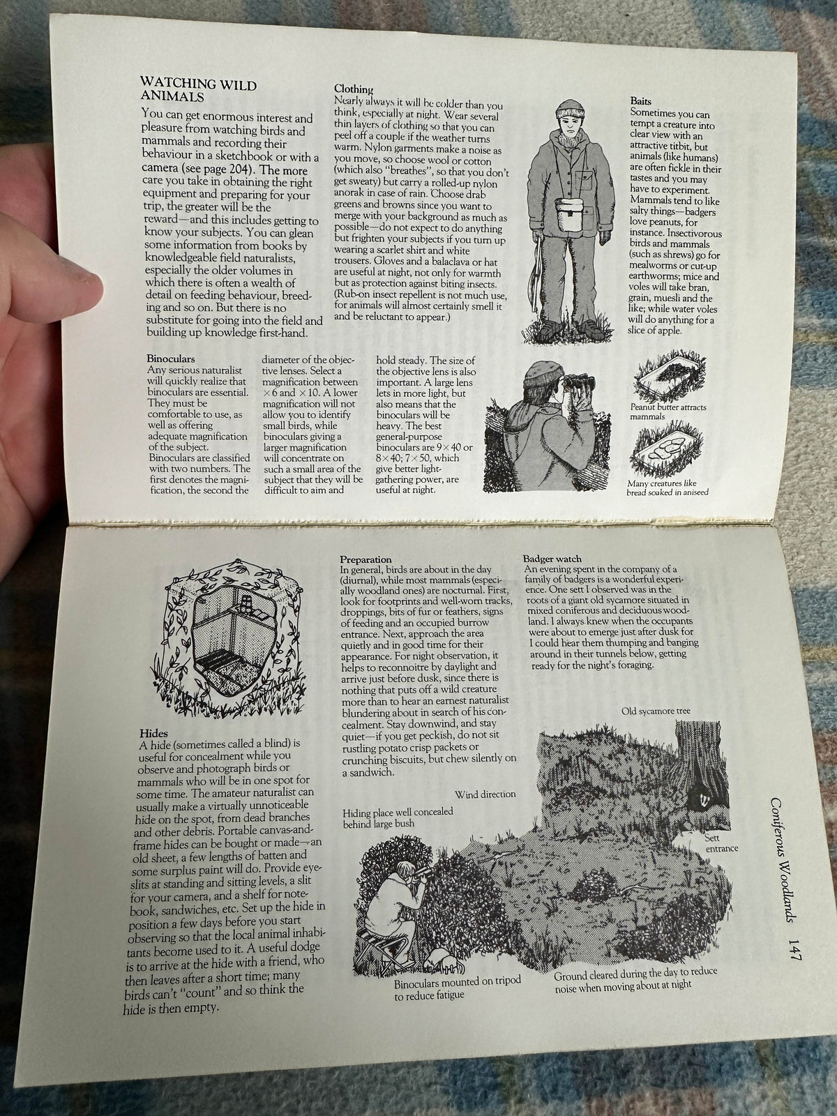 1985 The Amateur Naturlist - Gerald Durrell with Lee Durrell(Penguin) - Honeyburn Books (UK)