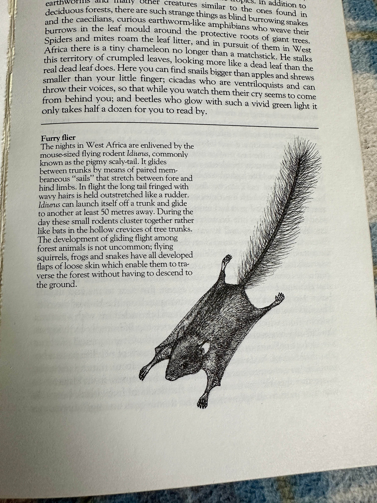 1985 The Amateur Naturlist - Gerald Durrell with Lee Durrell(Penguin) - Honeyburn Books (UK)