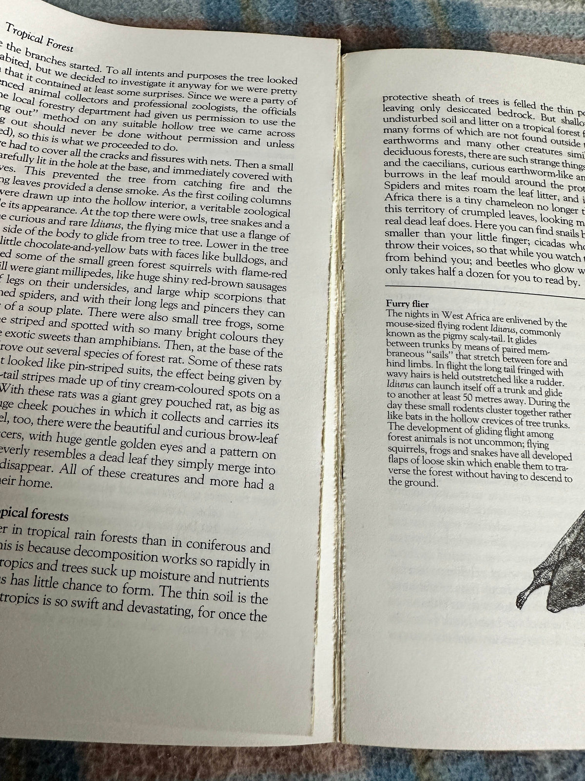 1985 The Amateur Naturlist - Gerald Durrell with Lee Durrell(Penguin) - Honeyburn Books (UK)