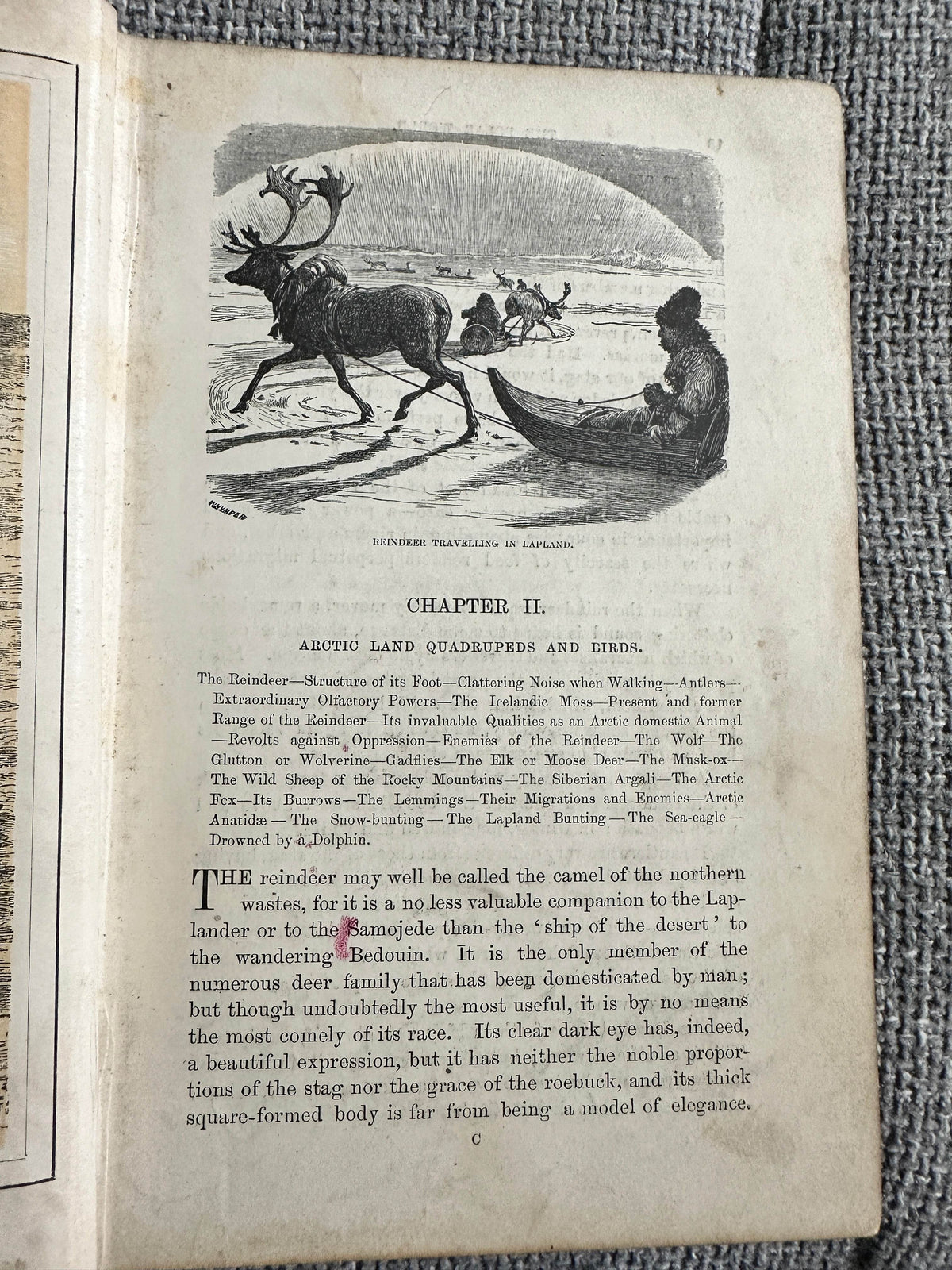 1892 The Polar World - Dr. G. Hartwig(Longmans Green & Co) - Honeyburn Books (UK)