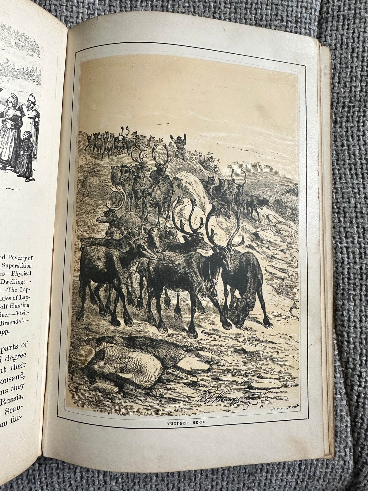 1892 The Polar World - Dr. G. Hartwig(Longmans Green & Co) - Honeyburn Books (UK)