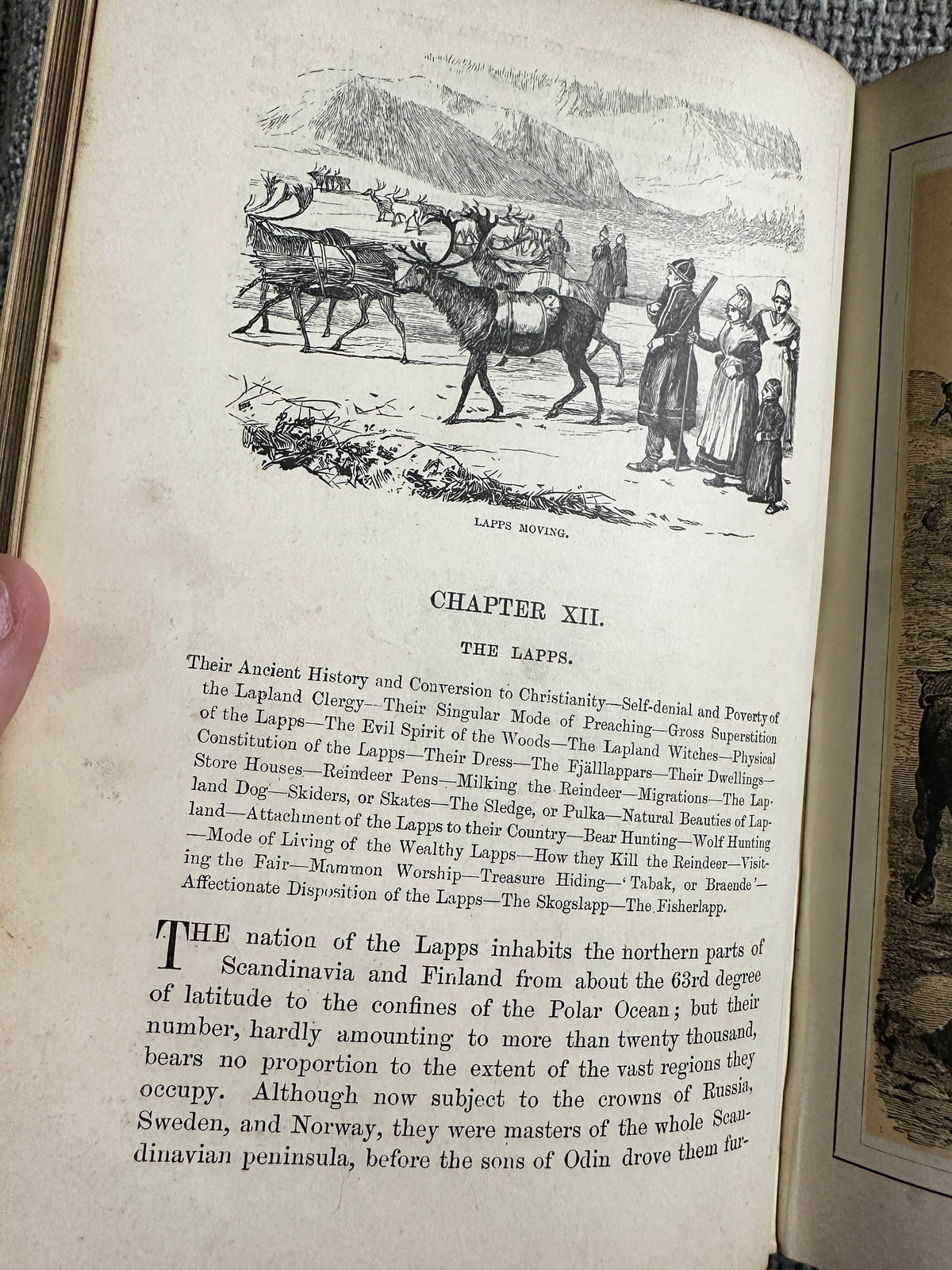 1892 The Polar World - Dr. G. Hartwig(Longmans Green & Co) - Honeyburn Books (UK)