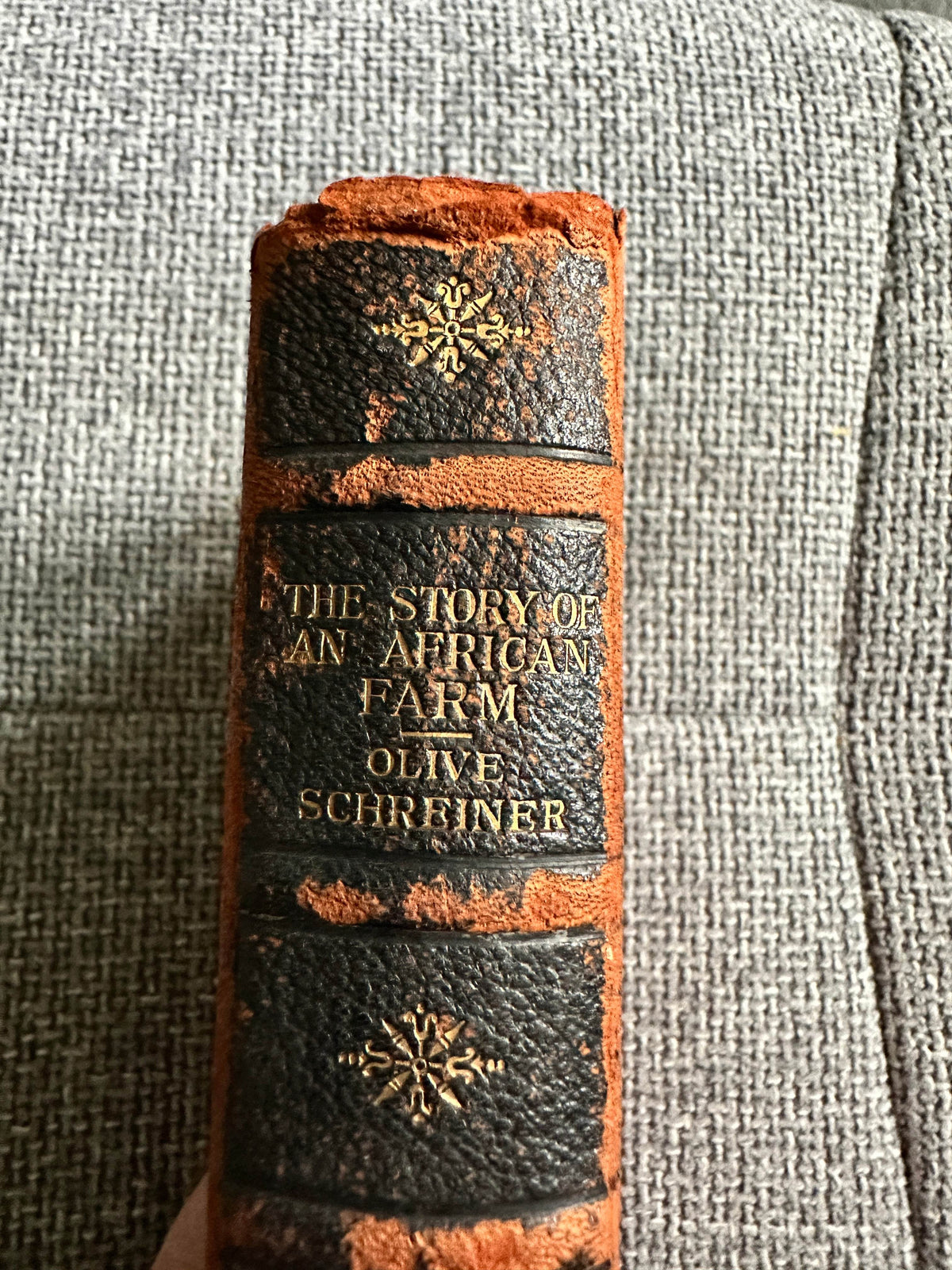 1883 The Story Of An African Farm - Olive Schriener(Hutchinson & Co ) - Honeyburn Books (UK)
