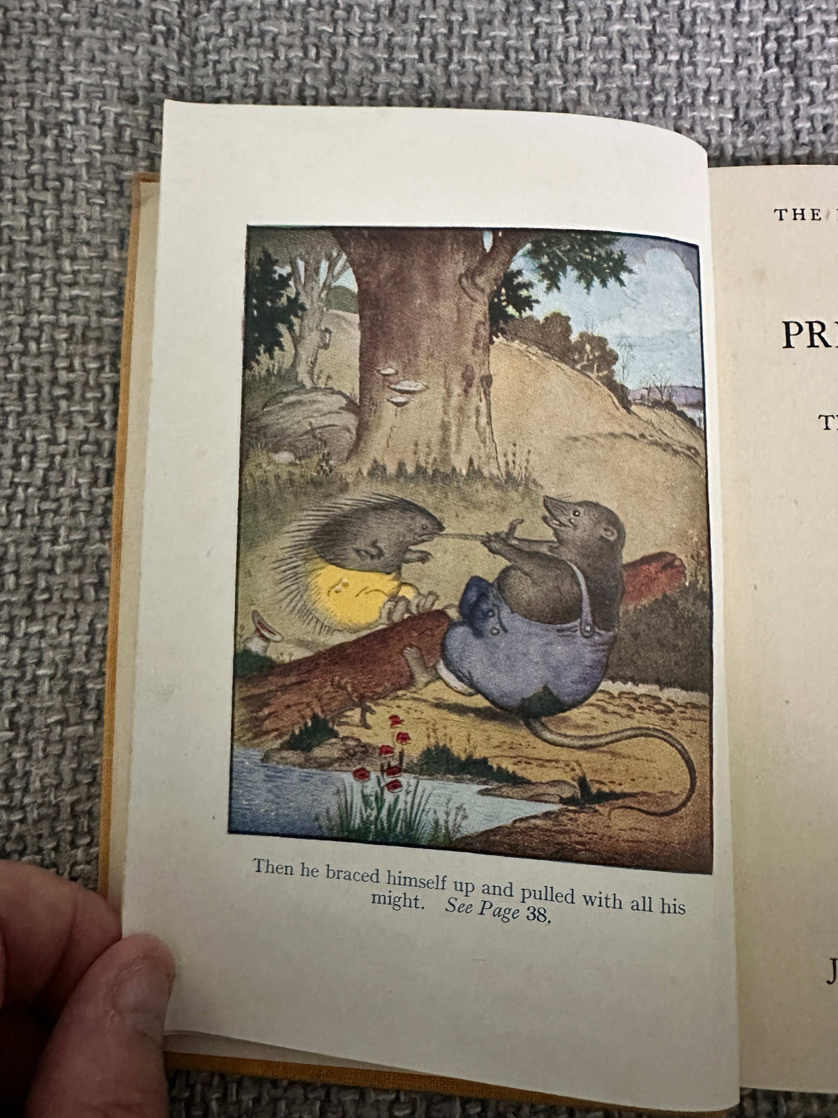 1945 The Adventures Of Prickly Porky - Thornton W. Burgess (Harrison Cady Illust) John Lane, The Bodley Head