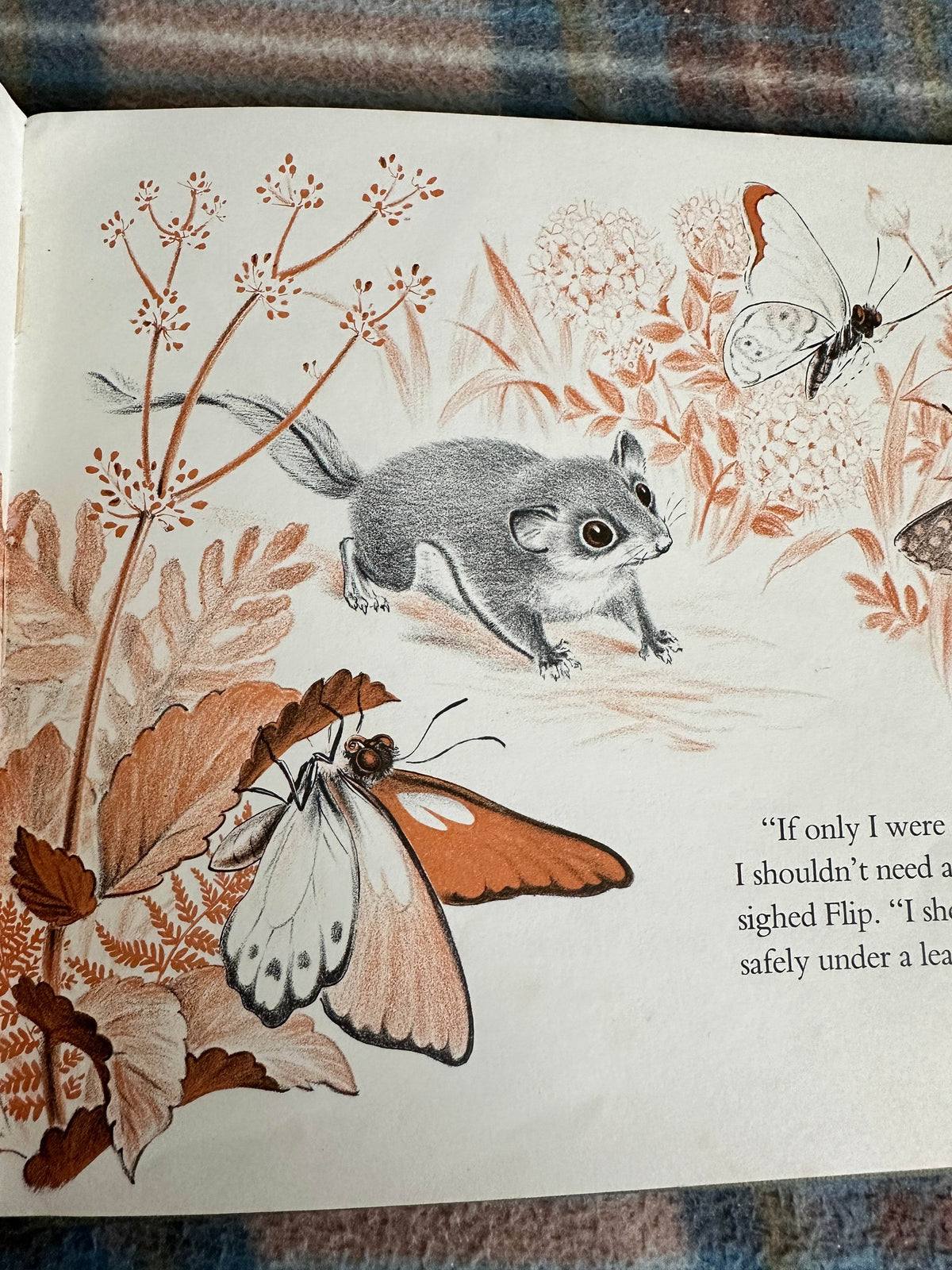 1964 Flip The Flying Possum - Noel’s Young(Methuen & Co Ltd) - Honeyburn Books (UK)