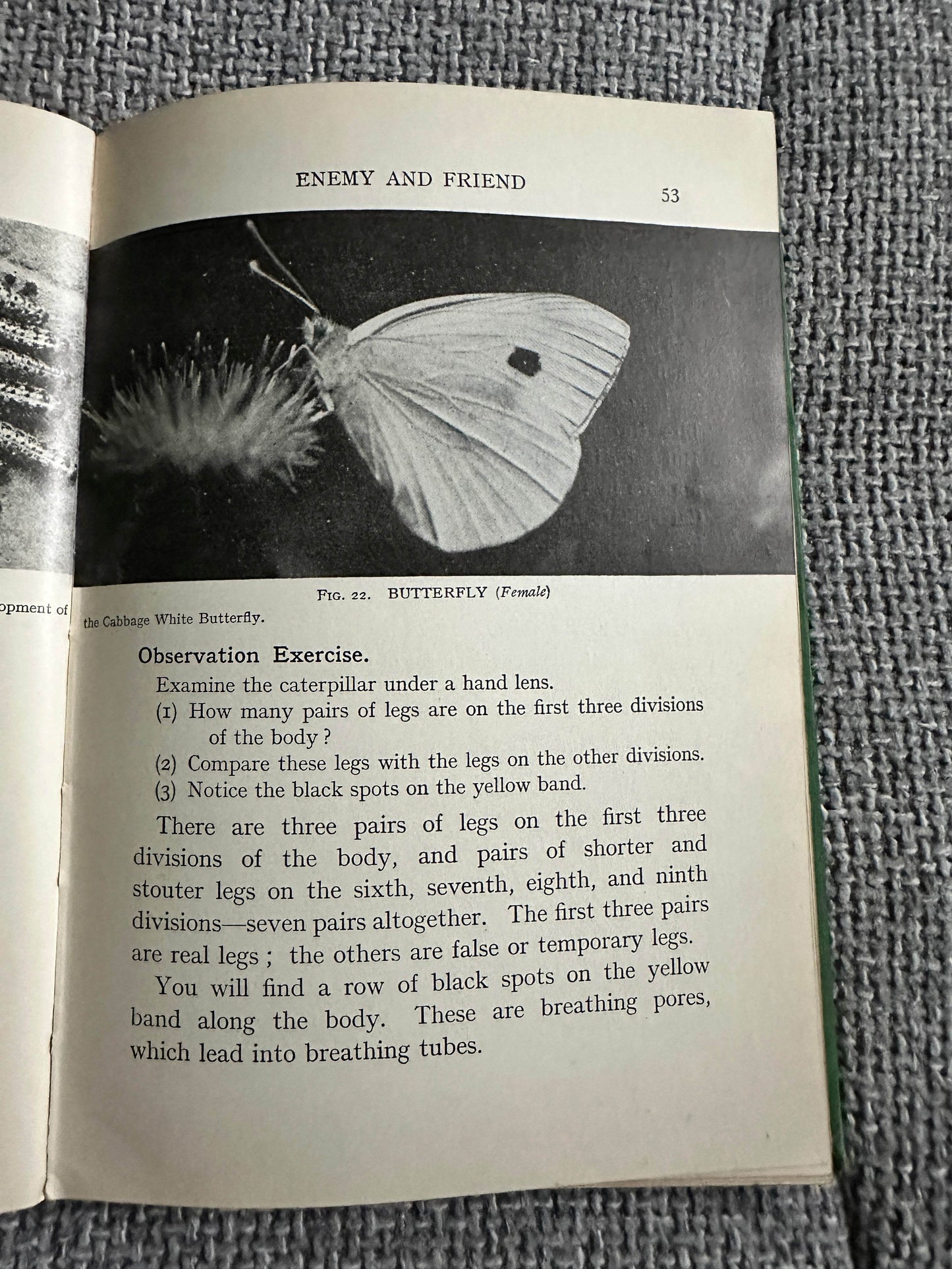 1930’s Practical Biology - John Mason(McDougalls Edicational Coy Ltd. - Honeyburn Books (UK)