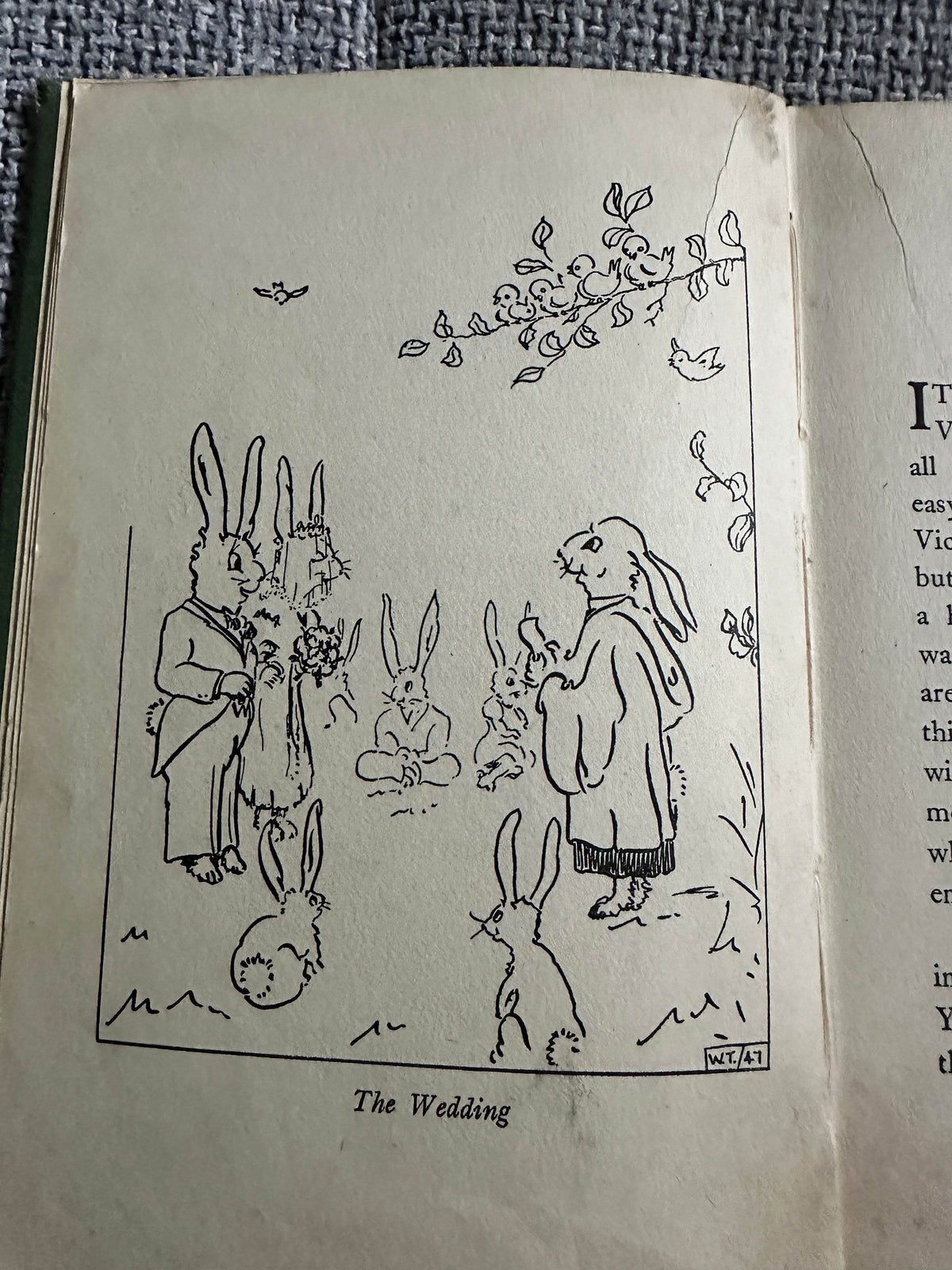 1947 Rabbit Warren(A Bed & Biscuit Book)M. Patterson(Mariner Press) - Honeyburn Books (UK)