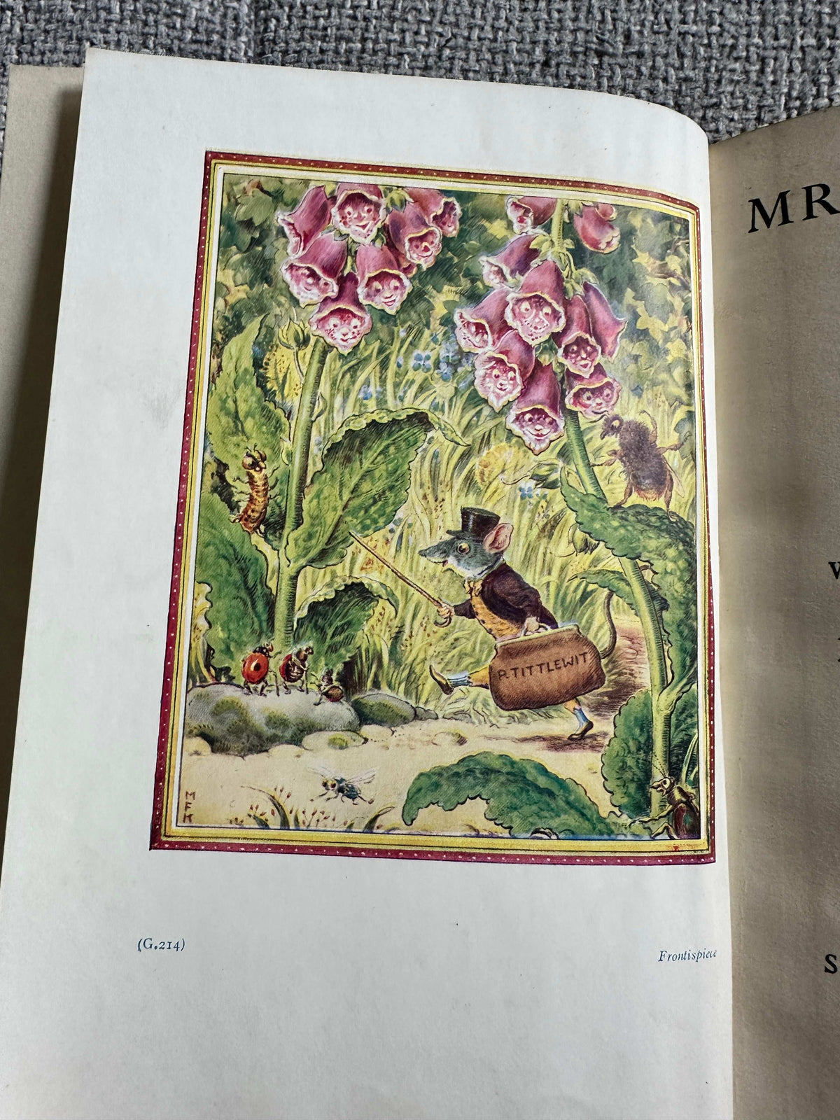1939*1st* Mr. Tittlewit’s Holiday - M. Forster Knight (Author & Illust) Sir Isaac Pitman & Sons Ltd Publishers)