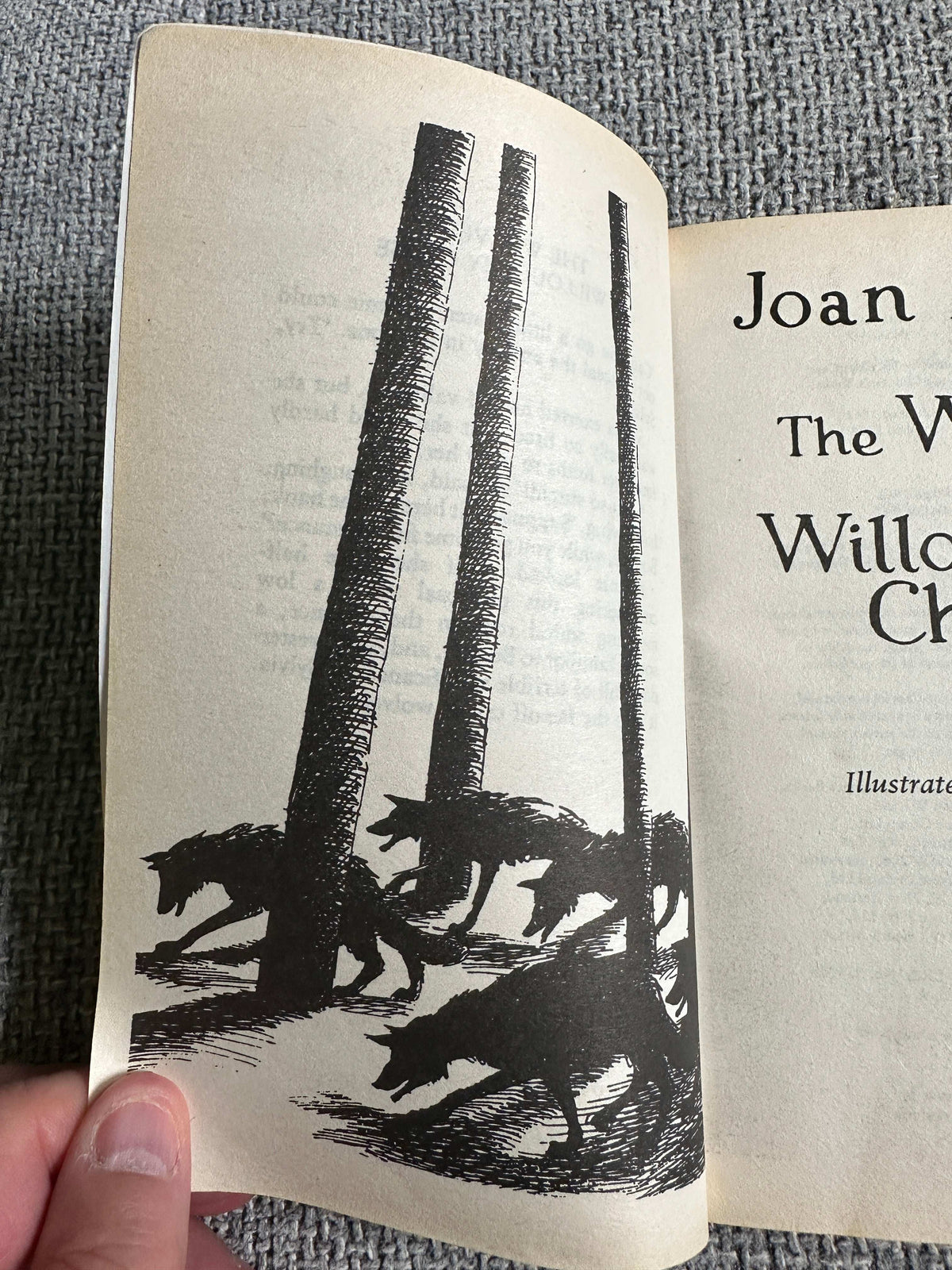 2004 The Wolves Of Willoughby Chase - Joan Aiken (Pat Marriott Illust) Red Fox Publishers
