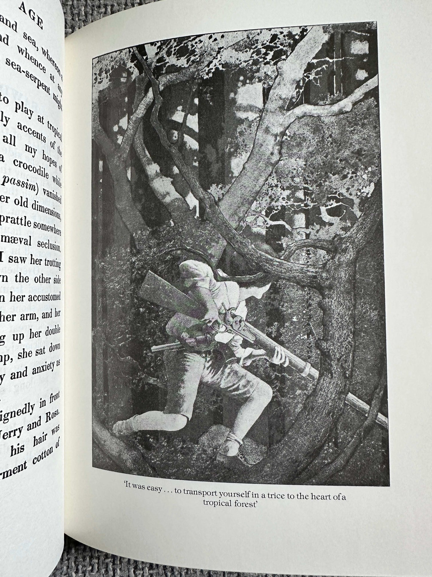 1983 The Golden Age - Kenneth Grahame (Maxfield Parrish Illust) Paul Harris Pub.