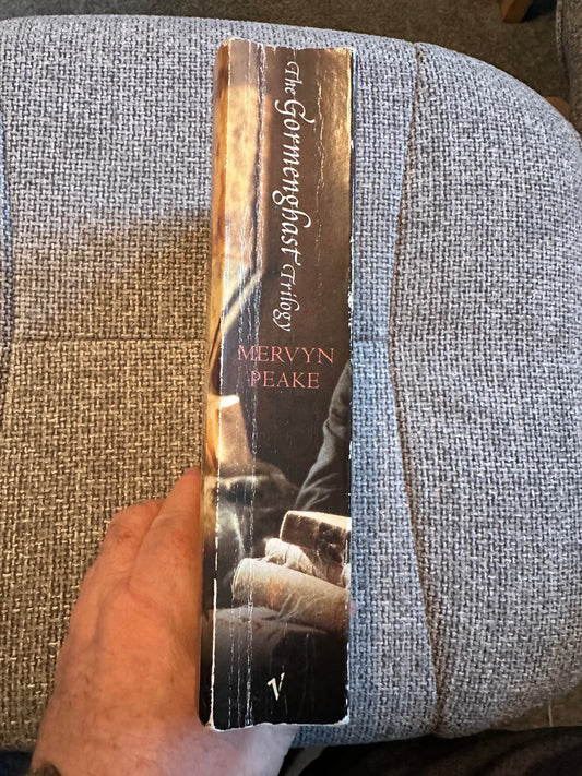 1999 The Gormenghast Trilogy - Mervyn Peake(Vintage Books) - Honeyburn Books (UK)