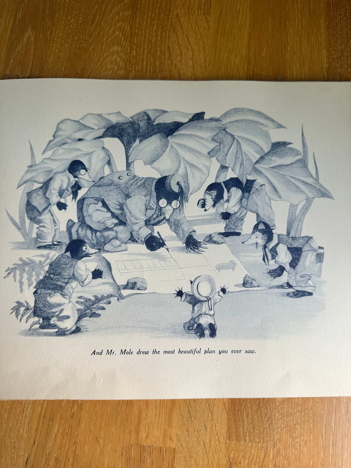1945*1st* The House The Moles Built - Dorothy Burroughes (Hutchinson & Co Ltd)