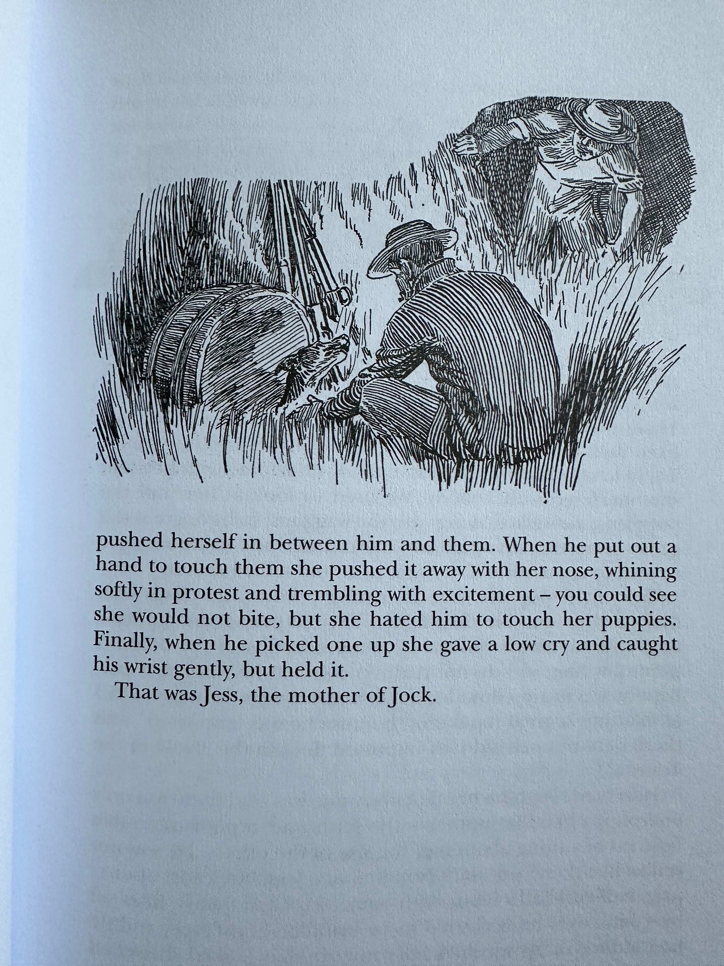 2010 Jock Of The Bushveld - Sir Percy Fitzpatrick (E. Caldwell Illust) Collector’s Edition 100yr edition (AD Donker Publisher) Johannesburg