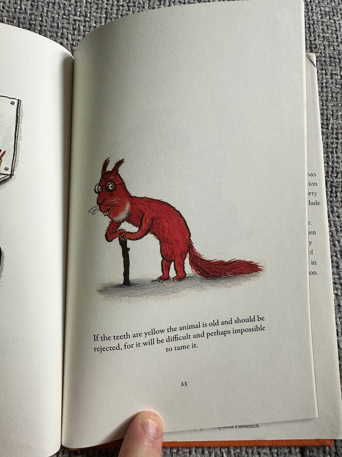 2010*1st* How To Keep A Pet Squirrel - Axel Scheffler(Faber & Faber) - Honeyburn Books (UK)