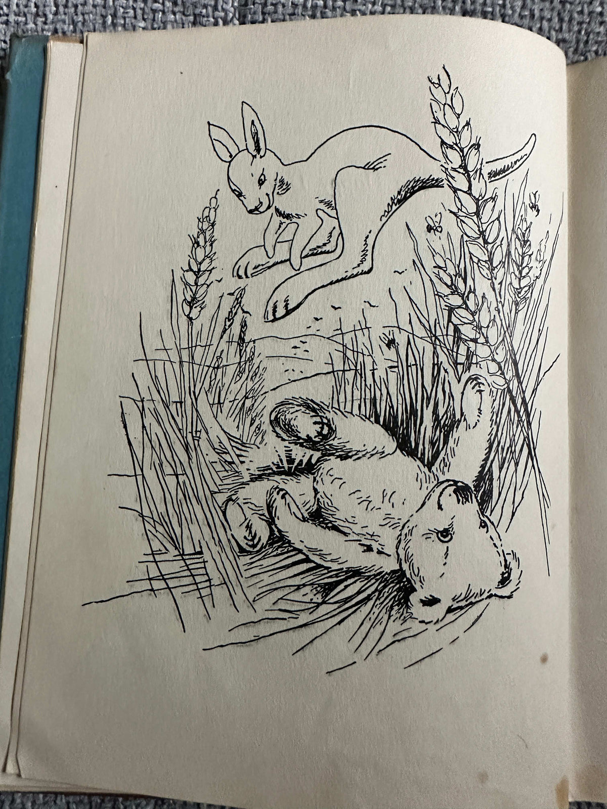 1958*1st* Tales Of Teddy Bear - Aaron Judah (Sheila Hawkins Illust) Faber & Faber
