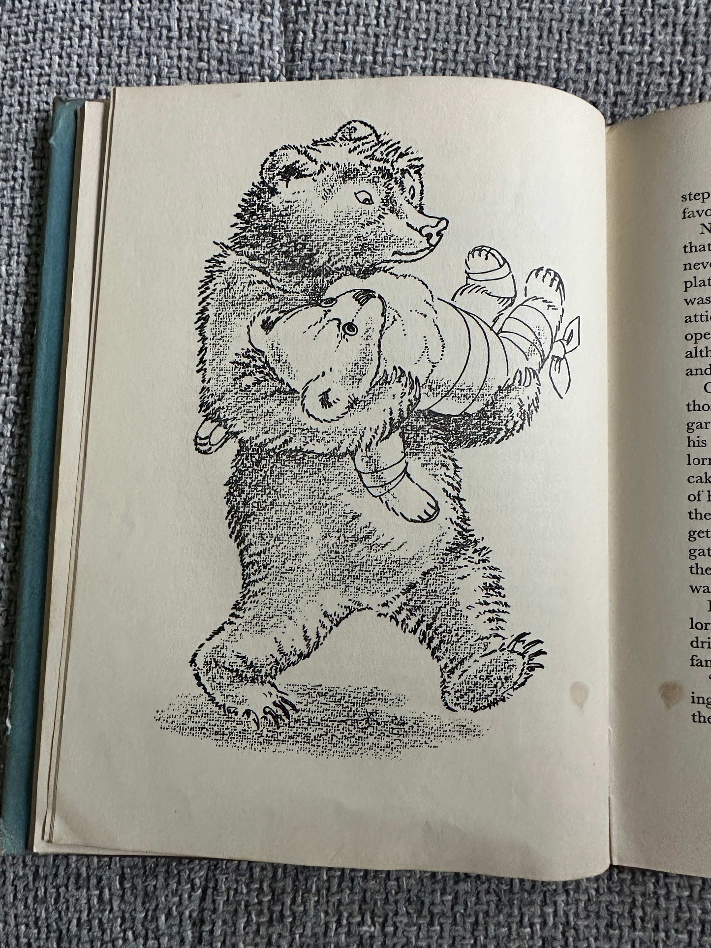 1958*1st* Tales Of Teddy Bear - Aaron Judah (Sheila Hawkins Illust) Faber & Faber