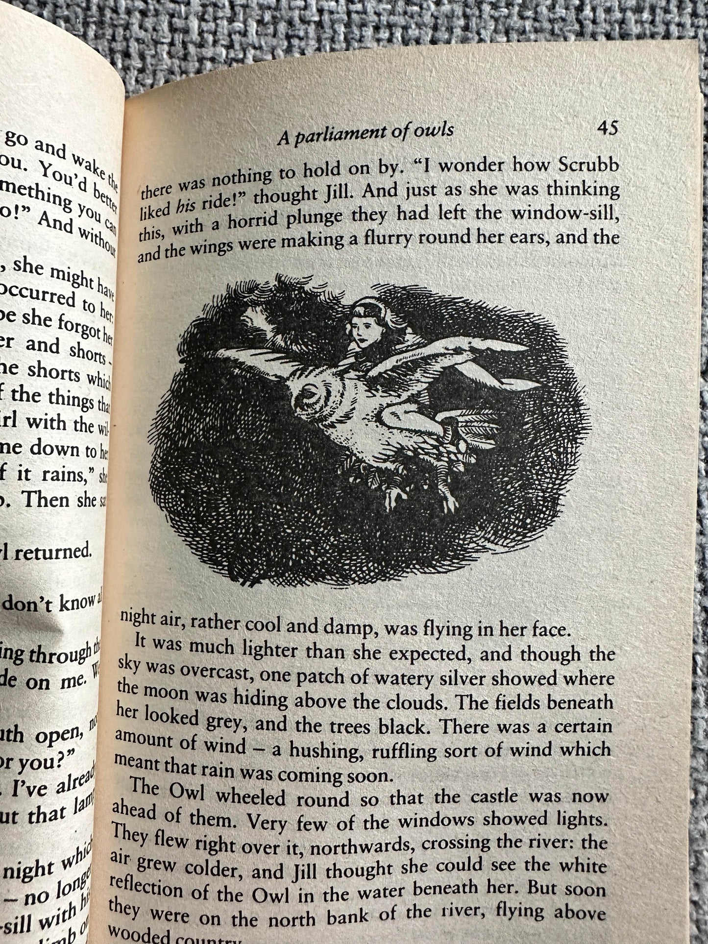 1996 The Silver Chair - C. S. Lewis(Pauline Baynes Illust)Diamond Books - Honeyburn Books (UK)