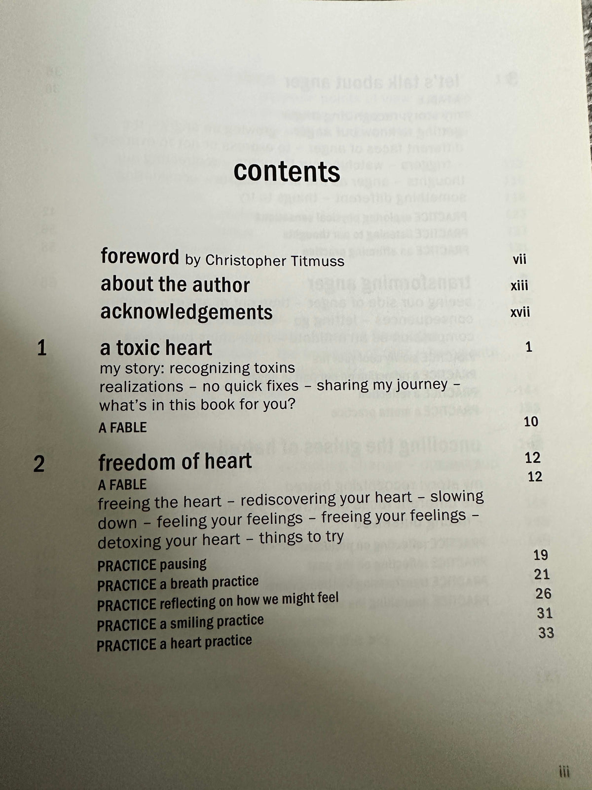 2005*1st* Detox Your Heart - Valerie Mason-John (Windhorse Publications)