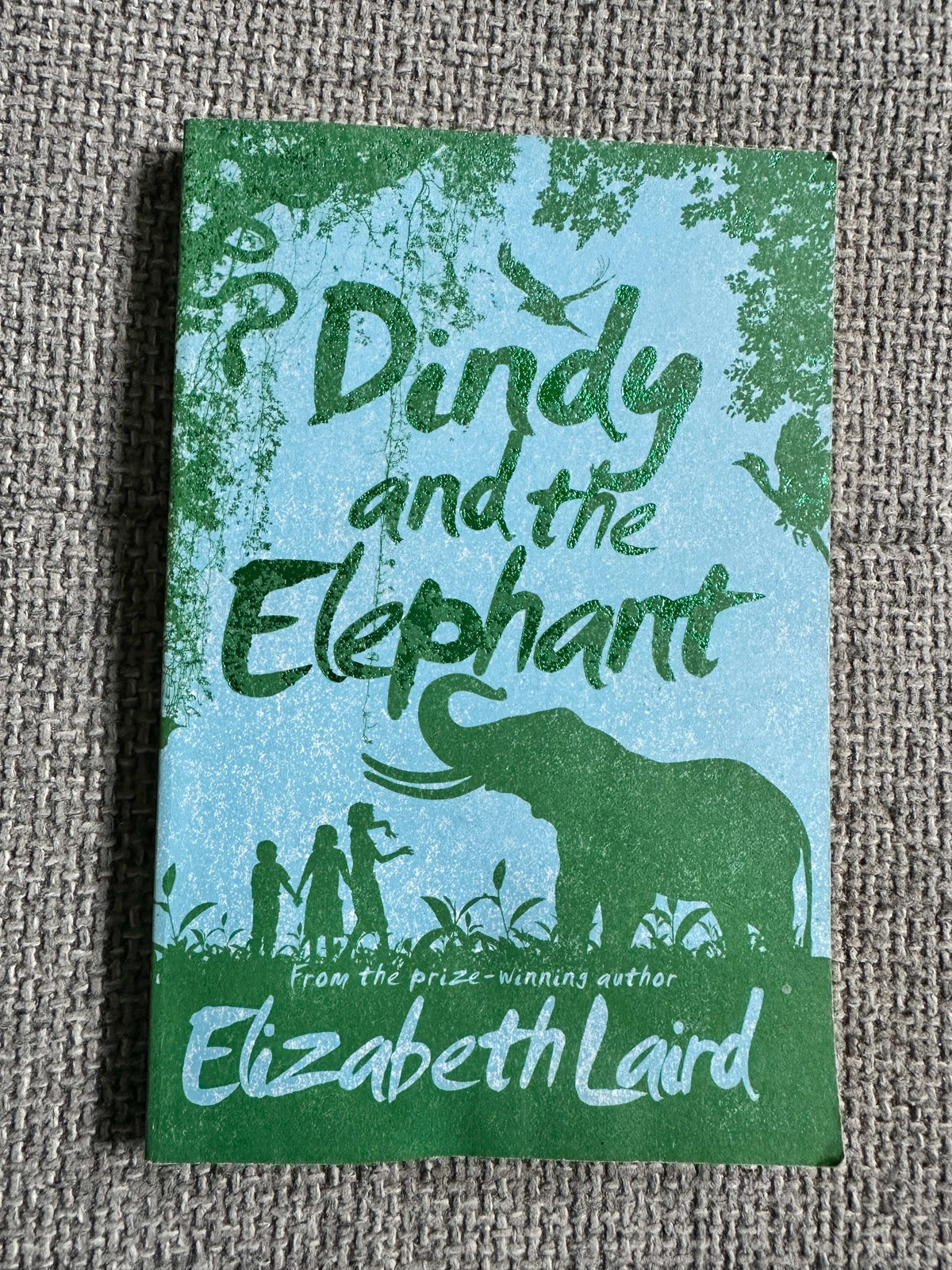 2015*1st* Dindy & The Elephant - Elizabeth Laird (Peter Bailey Illust) PanMacMillan