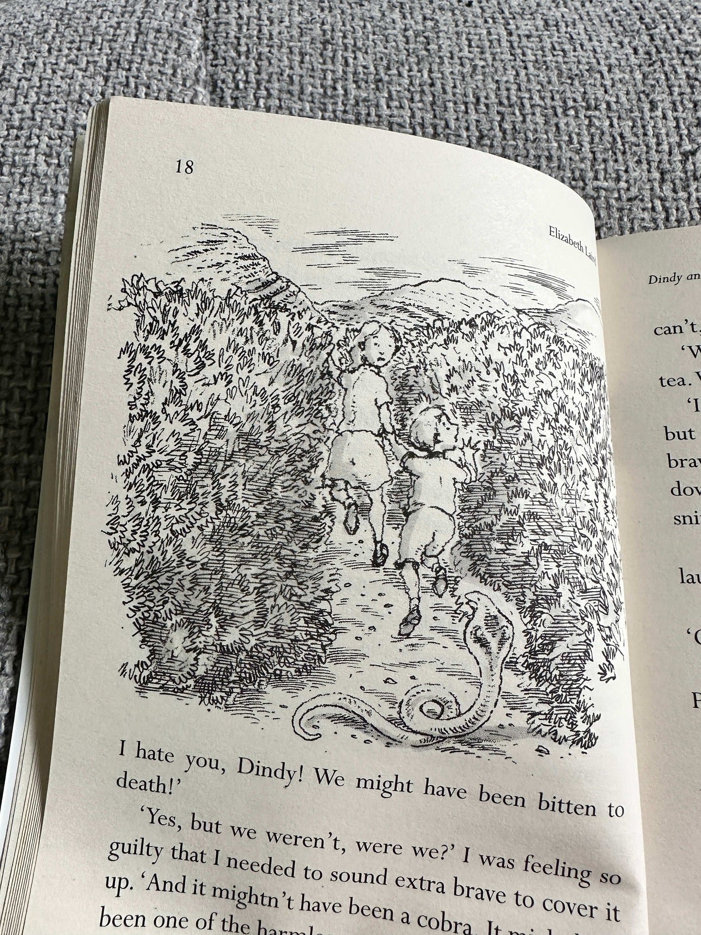 2015*1st* Dindy & The Elephant - Elizabeth Laird (Peter Bailey Illust) PanMacMillan