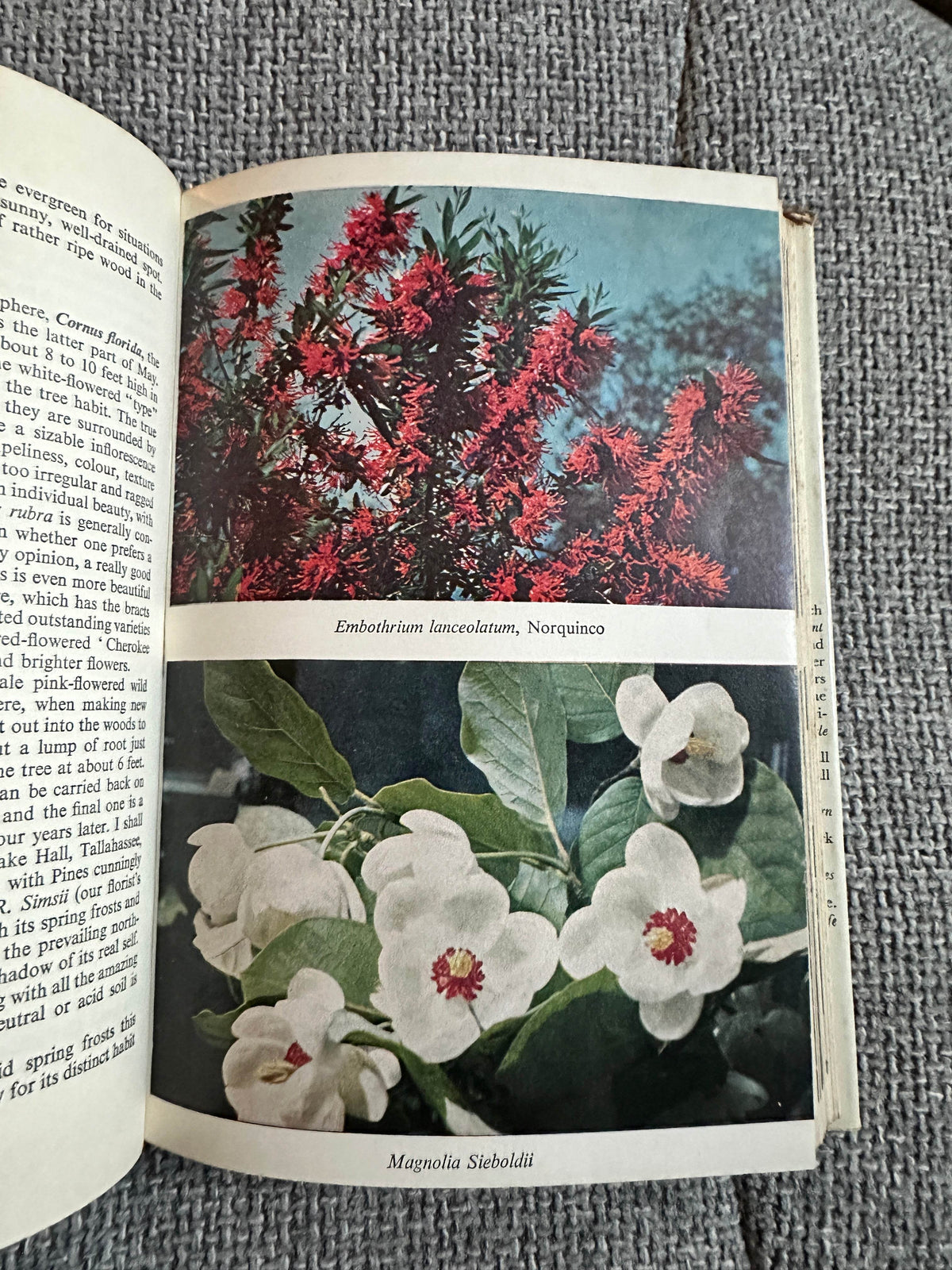 1962 Effective Flowering Shrubs - Michael Haworth-Booth(Collins) - Honeyburn Books (UK)