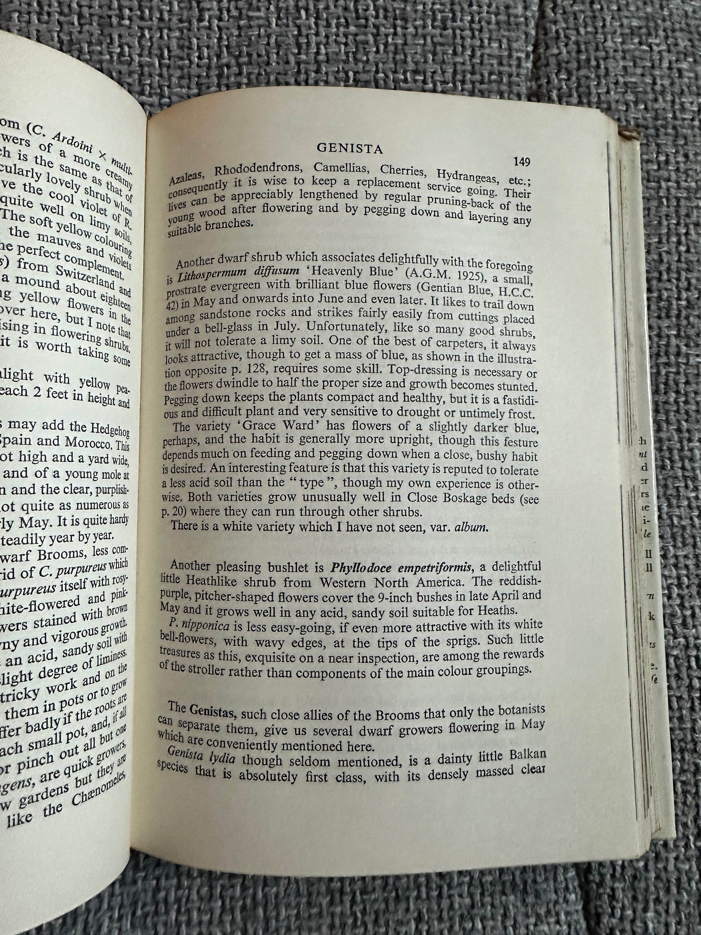 1962 Effective Flowering Shrubs - Michael Haworth-Booth(Collins) - Honeyburn Books (UK)
