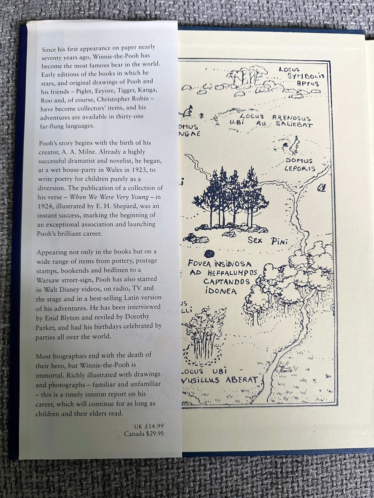 1992*1st* The Brilliant Career Of Winnie-The-Pooh(A. A. Milne biography) Ann Thwaite (Methuen)