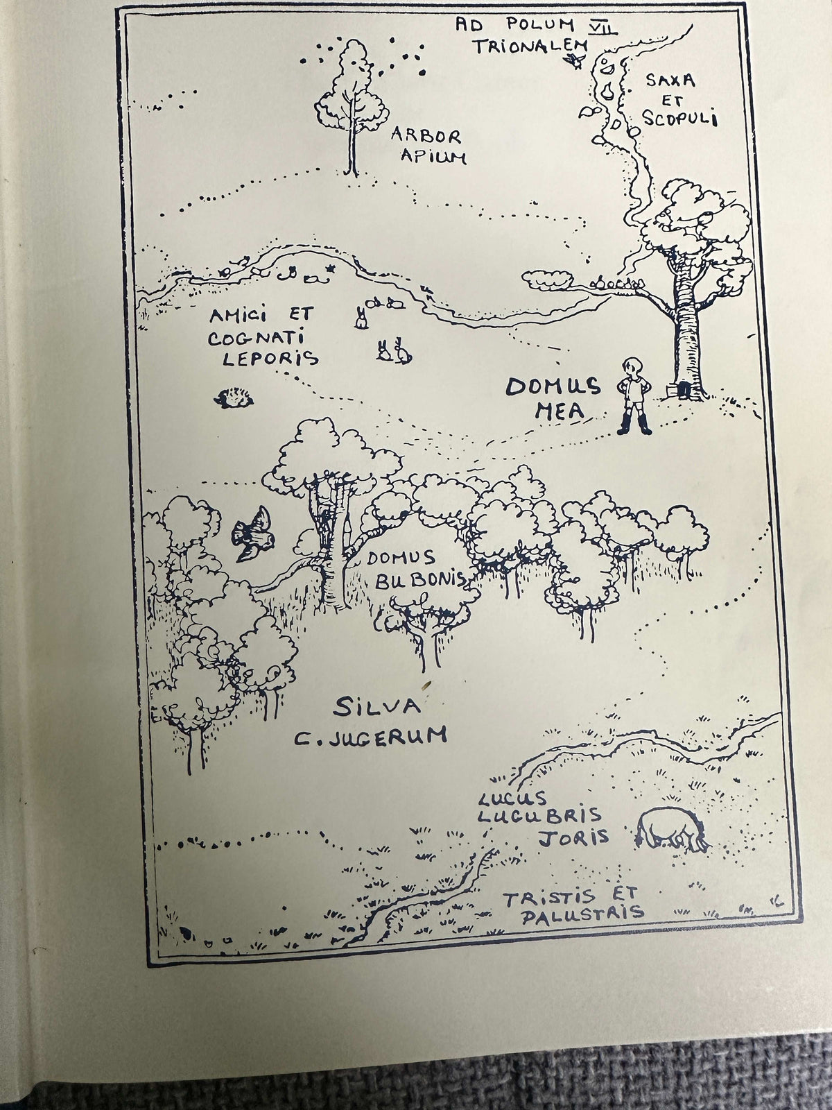 1992*1st* The Brilliant Career Of Winnie-The-Pooh(A. A. Milne biography) Ann Thwaite (Methuen)