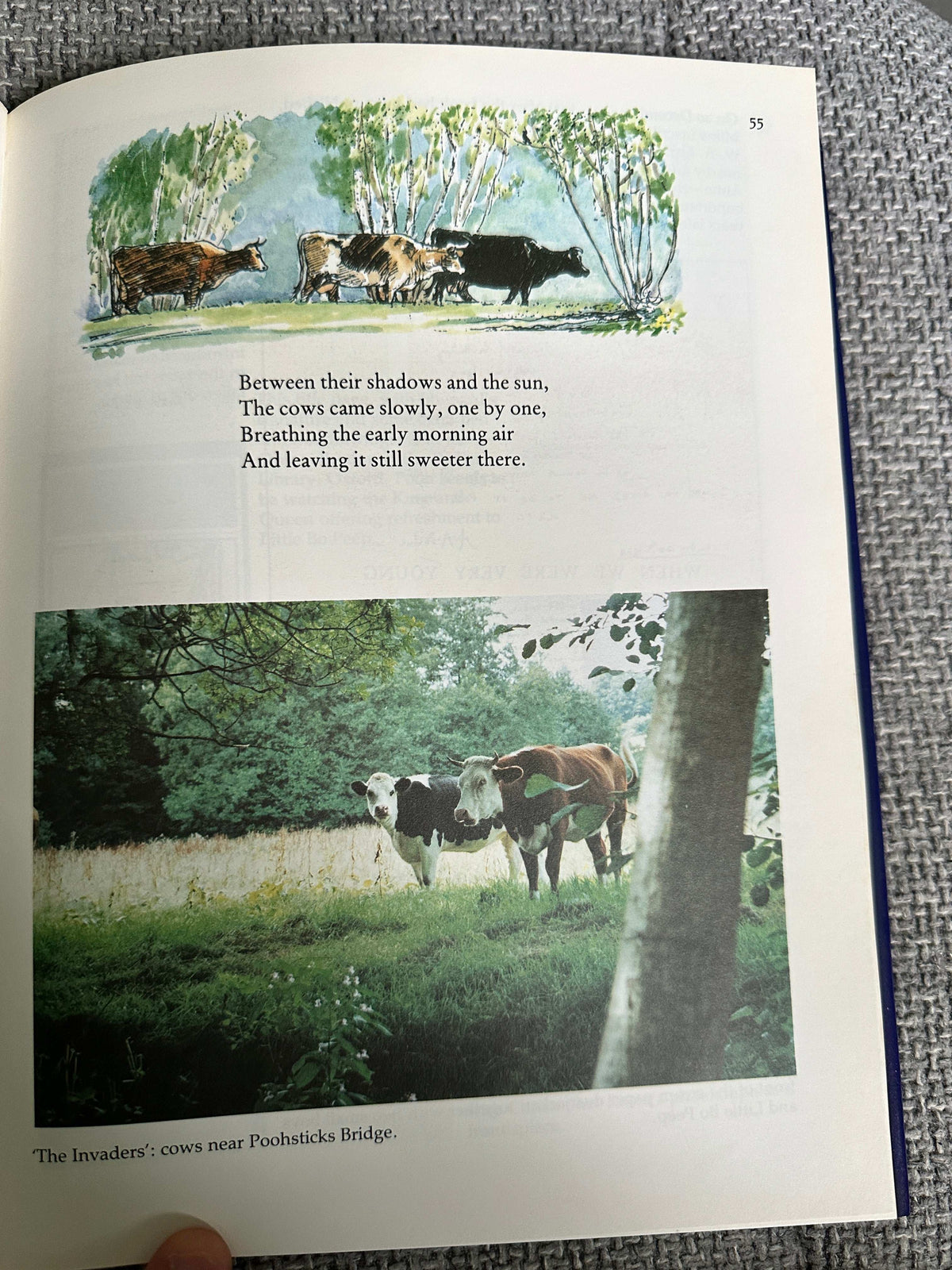 1992*1st* The Brilliant Career Of Winnie-The-Pooh(A. A. Milne biography) Ann Thwaite (Methuen)