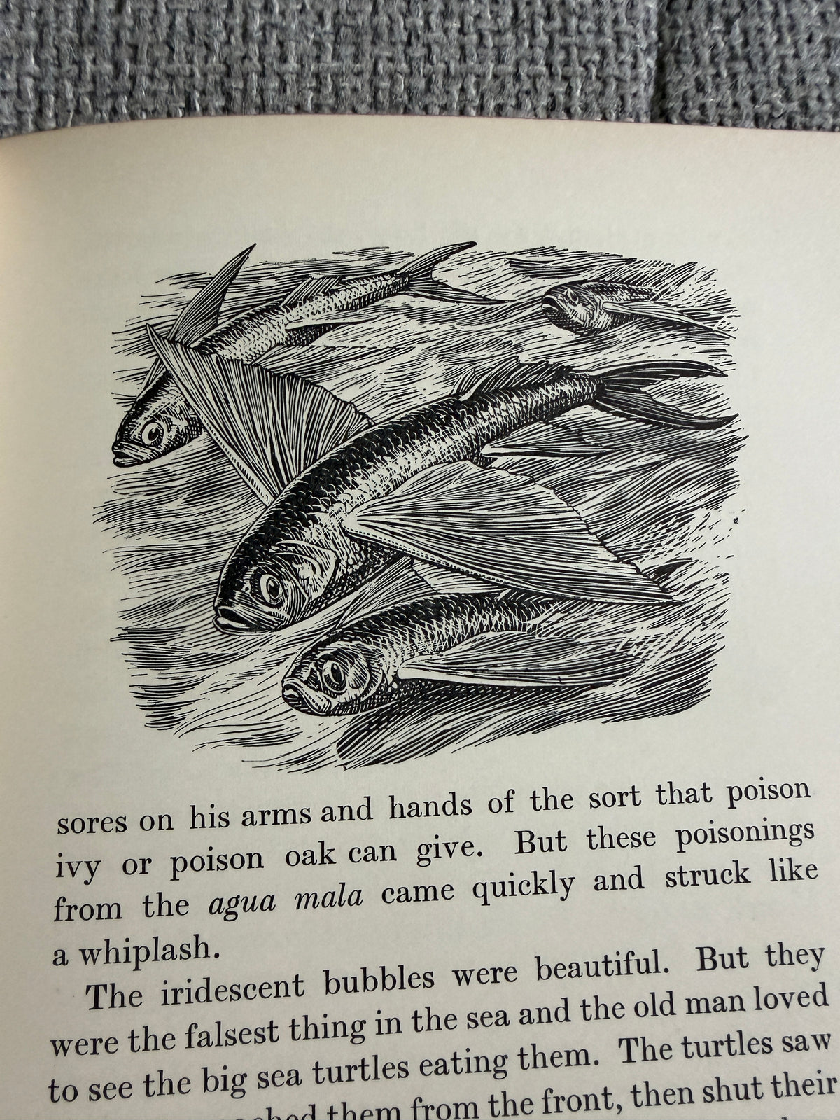 1953*1st* The Old Man & The Sea - Ernest Hemingway (C. F. Tunnicliffe & Raymond Sheppard illustration) Reprint Society.