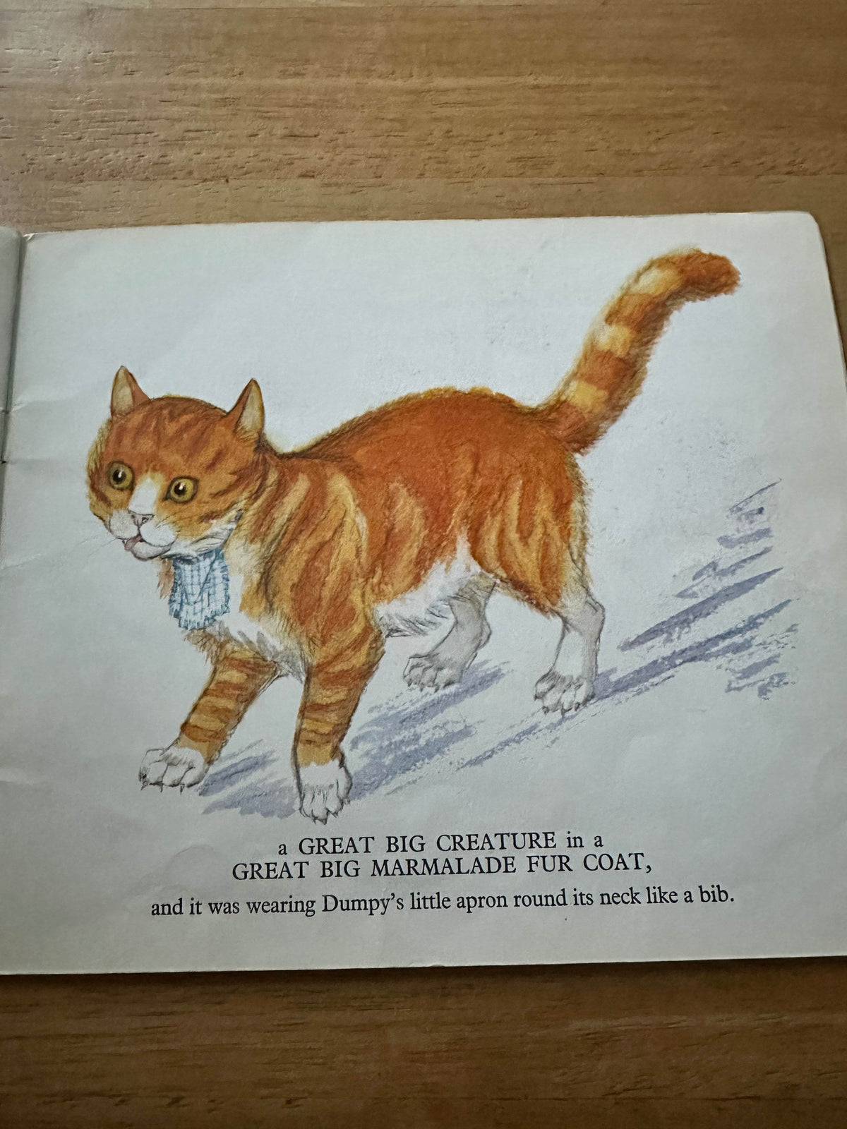 1964 A Surprise For Dumpy - Molly Brett(Medici Society) - Honeyburn Books (UK)