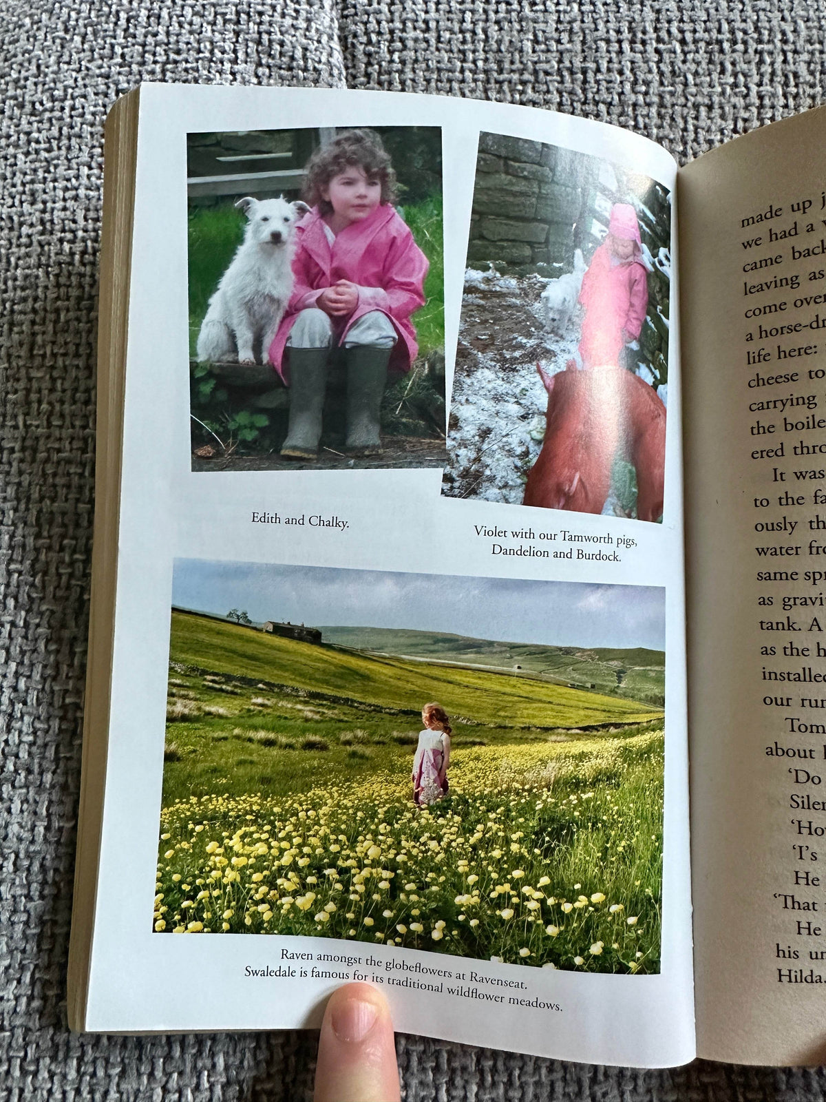 2014 The Yorkshire Shepherdess - Amanda Owen(Pan Books) - Honeyburn Books (UK)