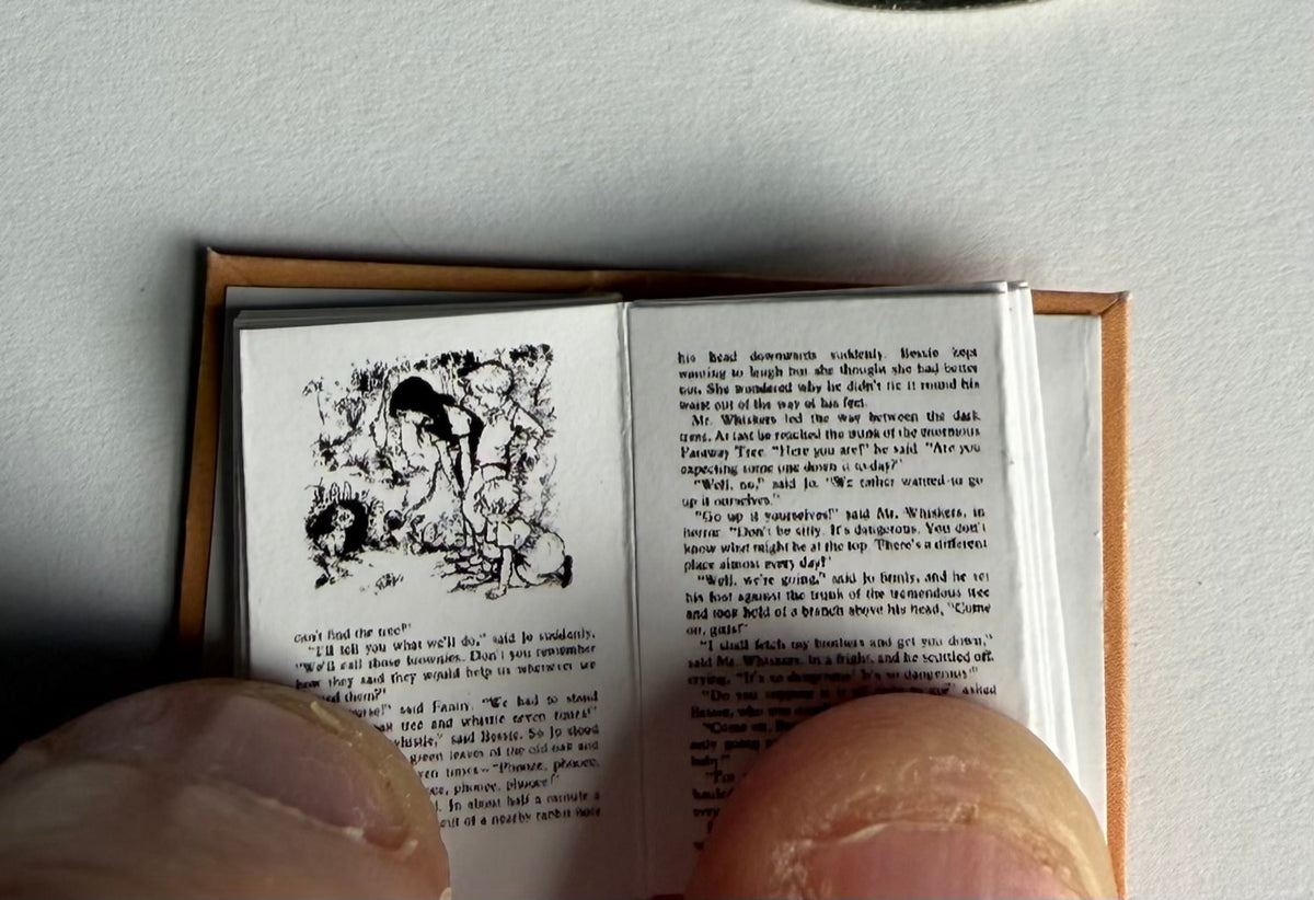 The Enchanted Wood 1:12 scale 2x3 detachable dust jacket opening book text and images not the full book for collectors