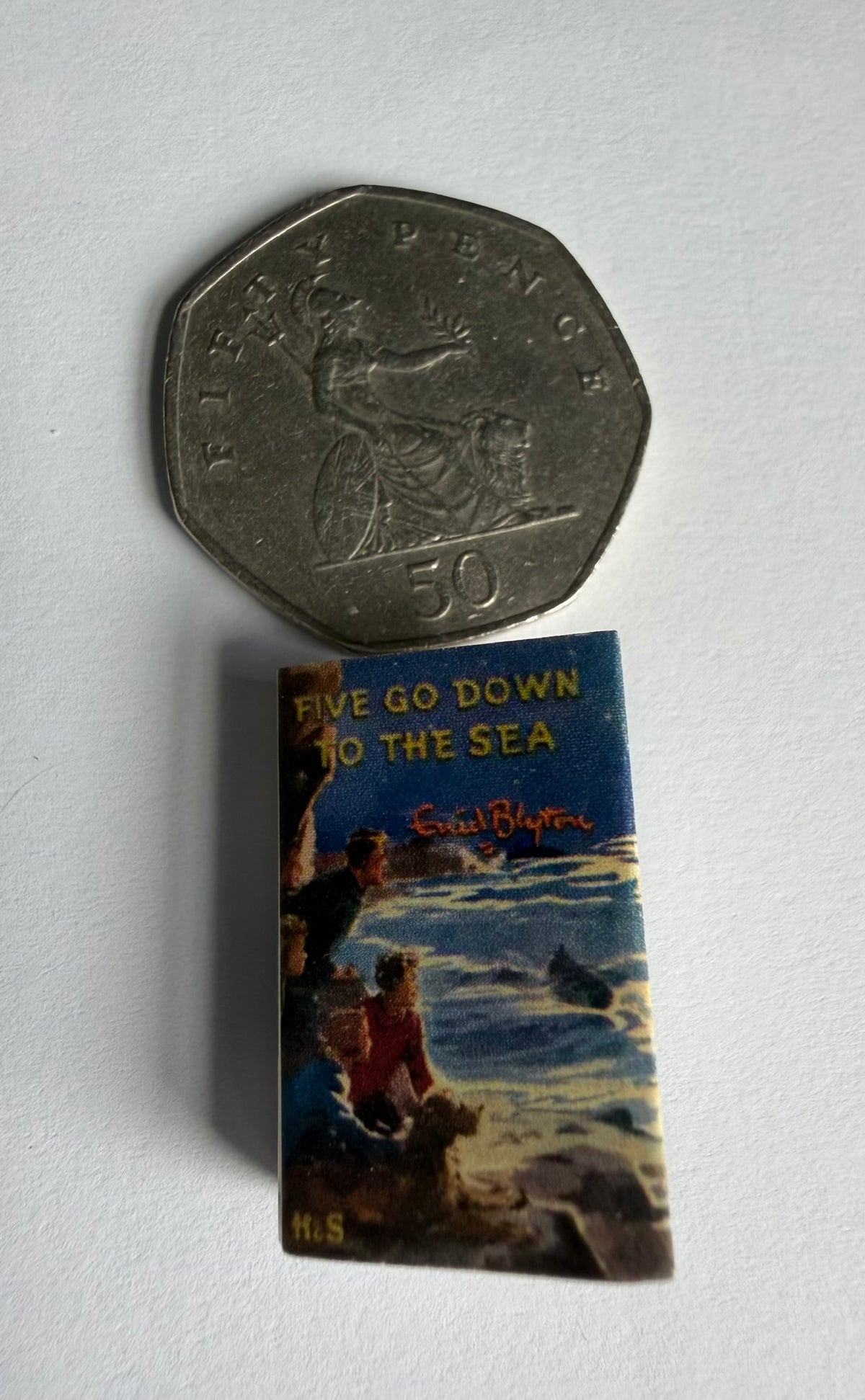 Five Go Down to The Sea 1:12 2x3 miniature, detachable jacket
